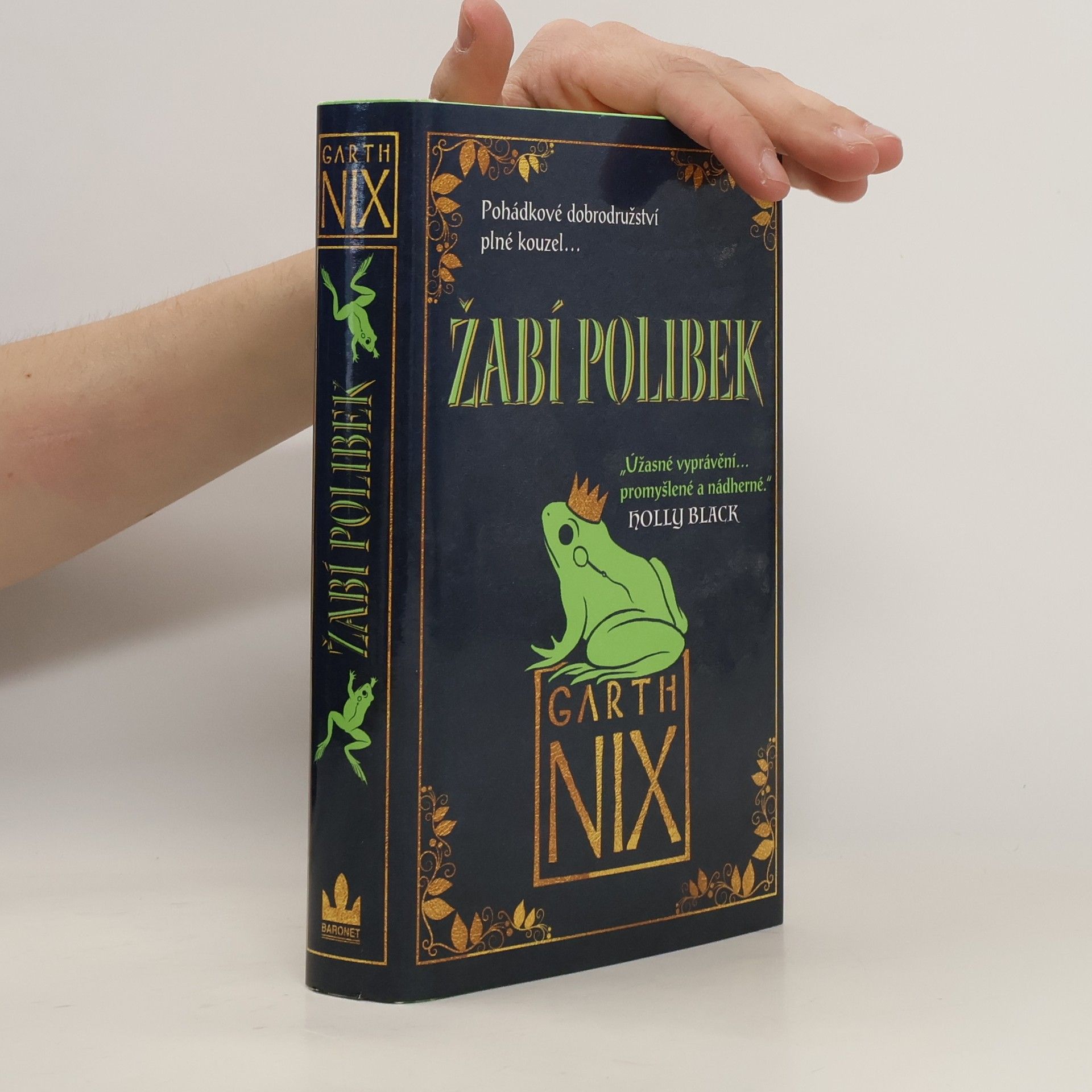 Garth Nix Žabí polibek