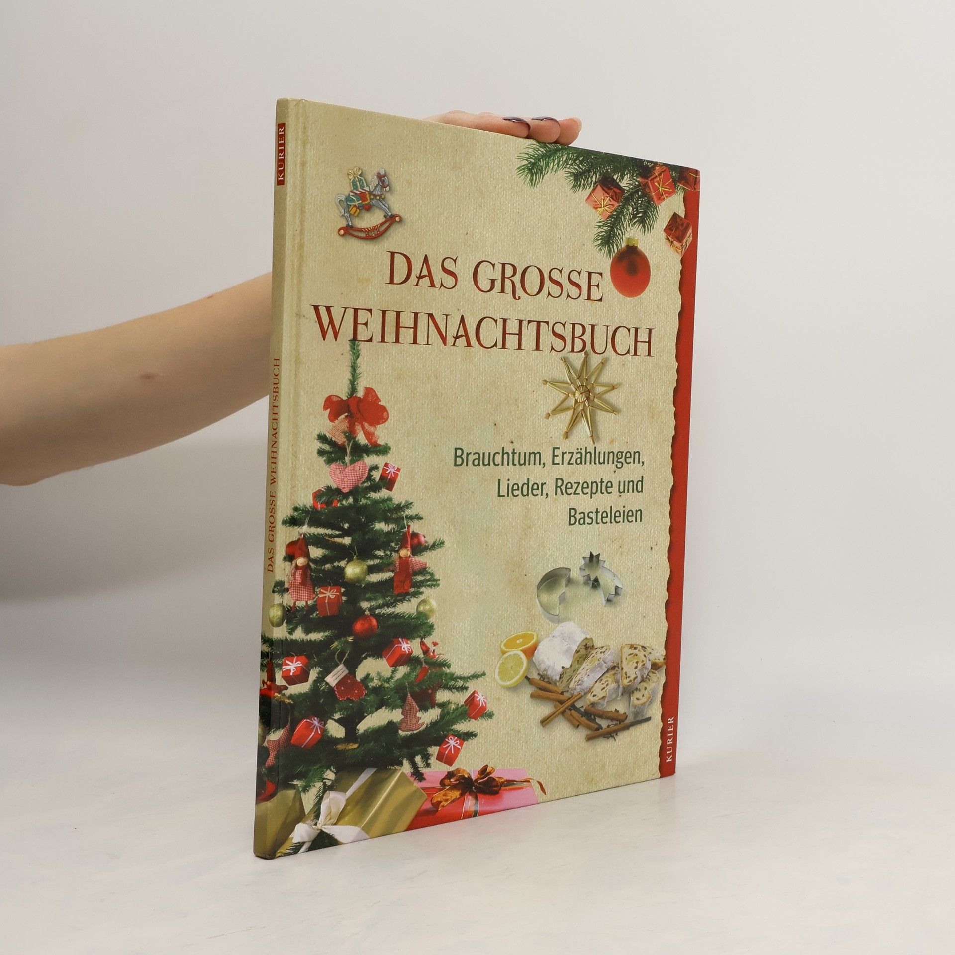 Autorenkollektiv Das grosse Weihnachtsbuch