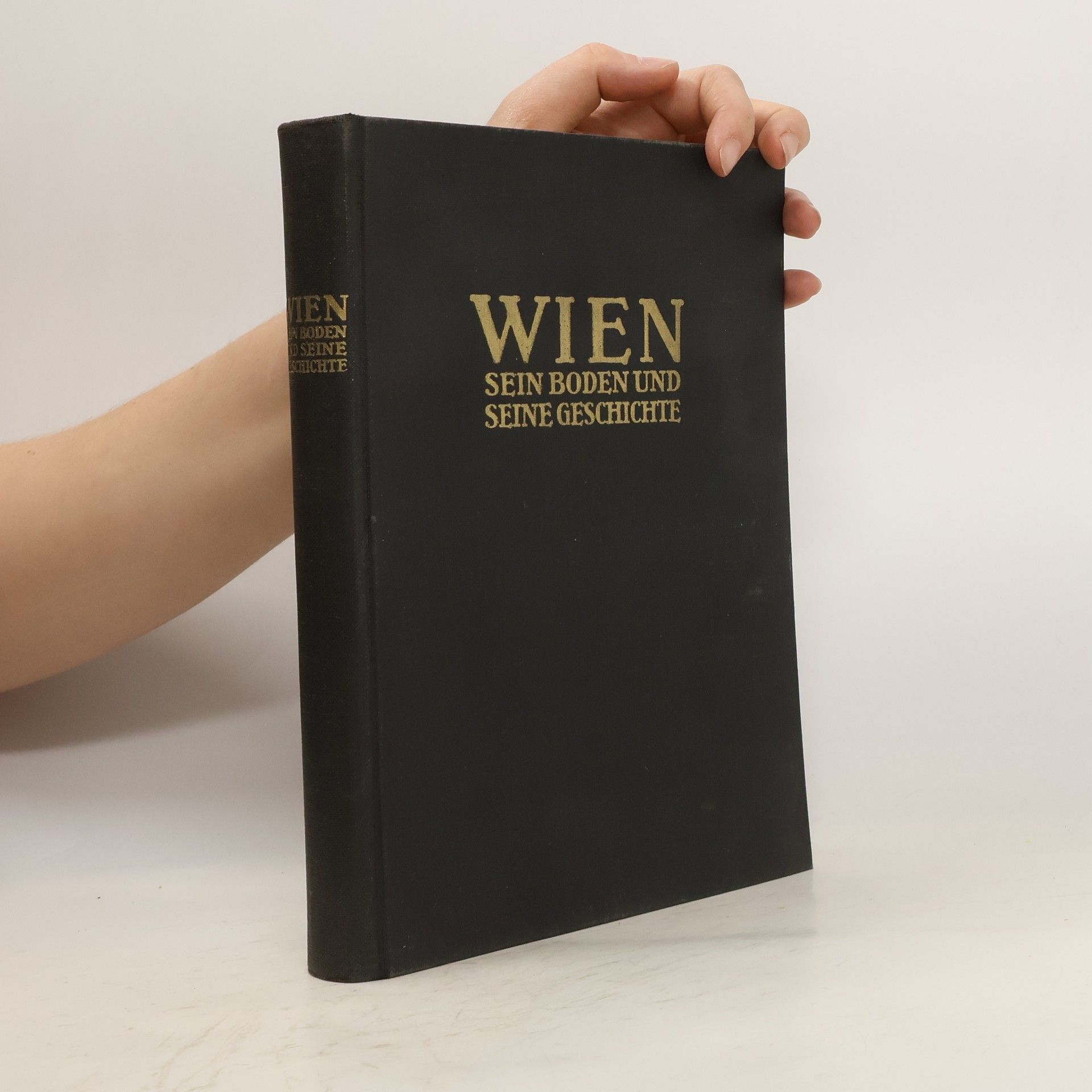 AA.VV. Wien, sein Boden und seine Geschichte