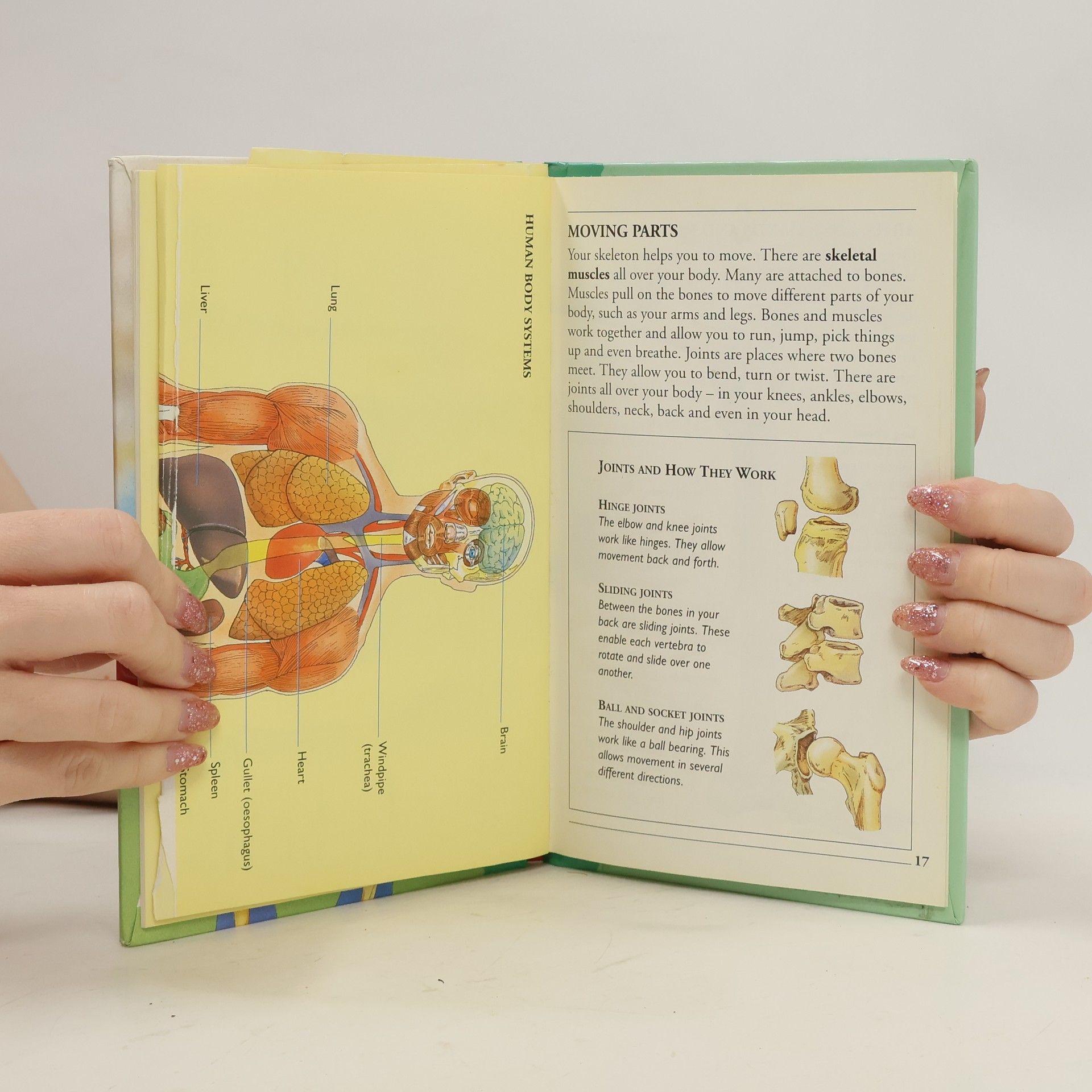 Collectif d'auteurs Skeletons