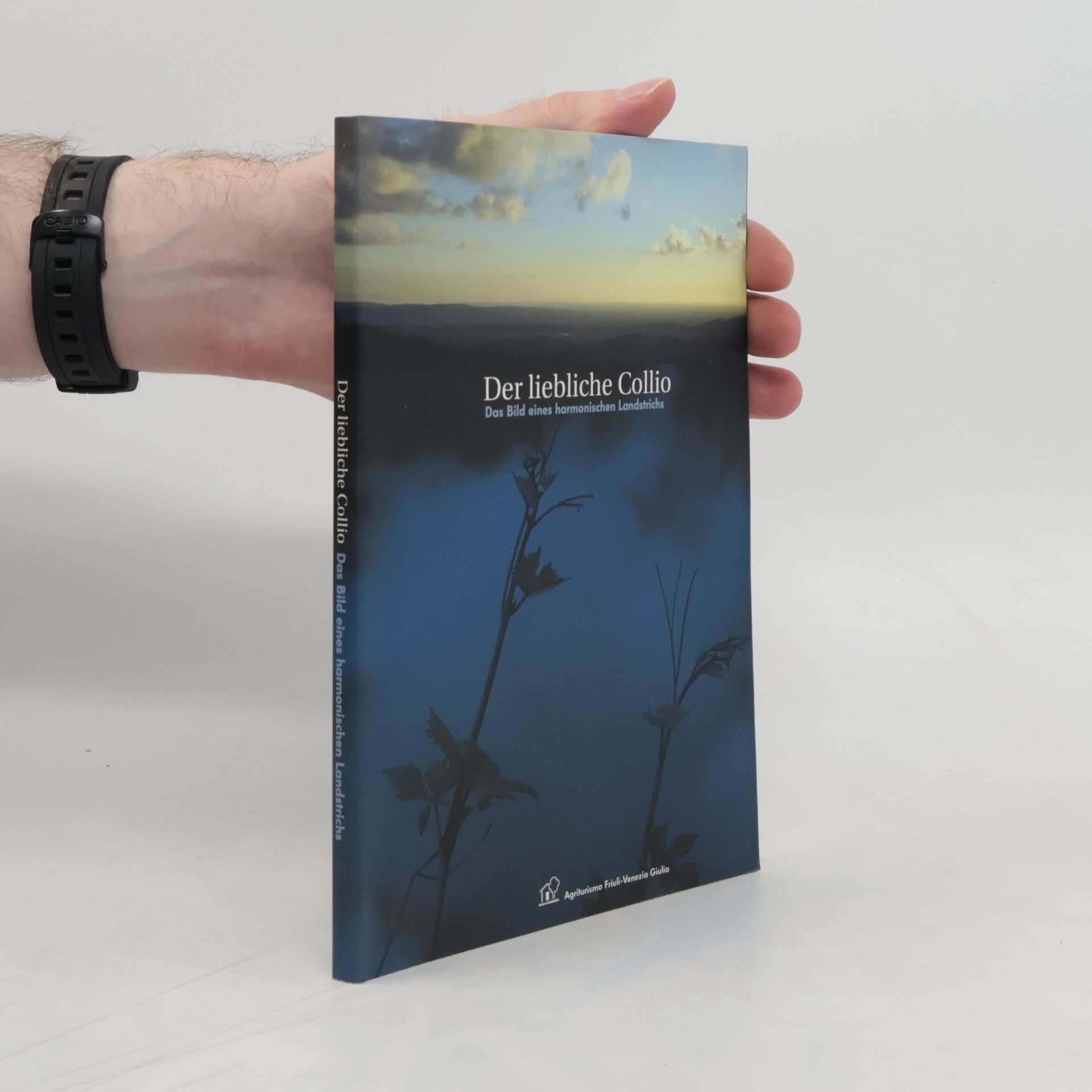 Nicola Altieri Der liebliche Collio