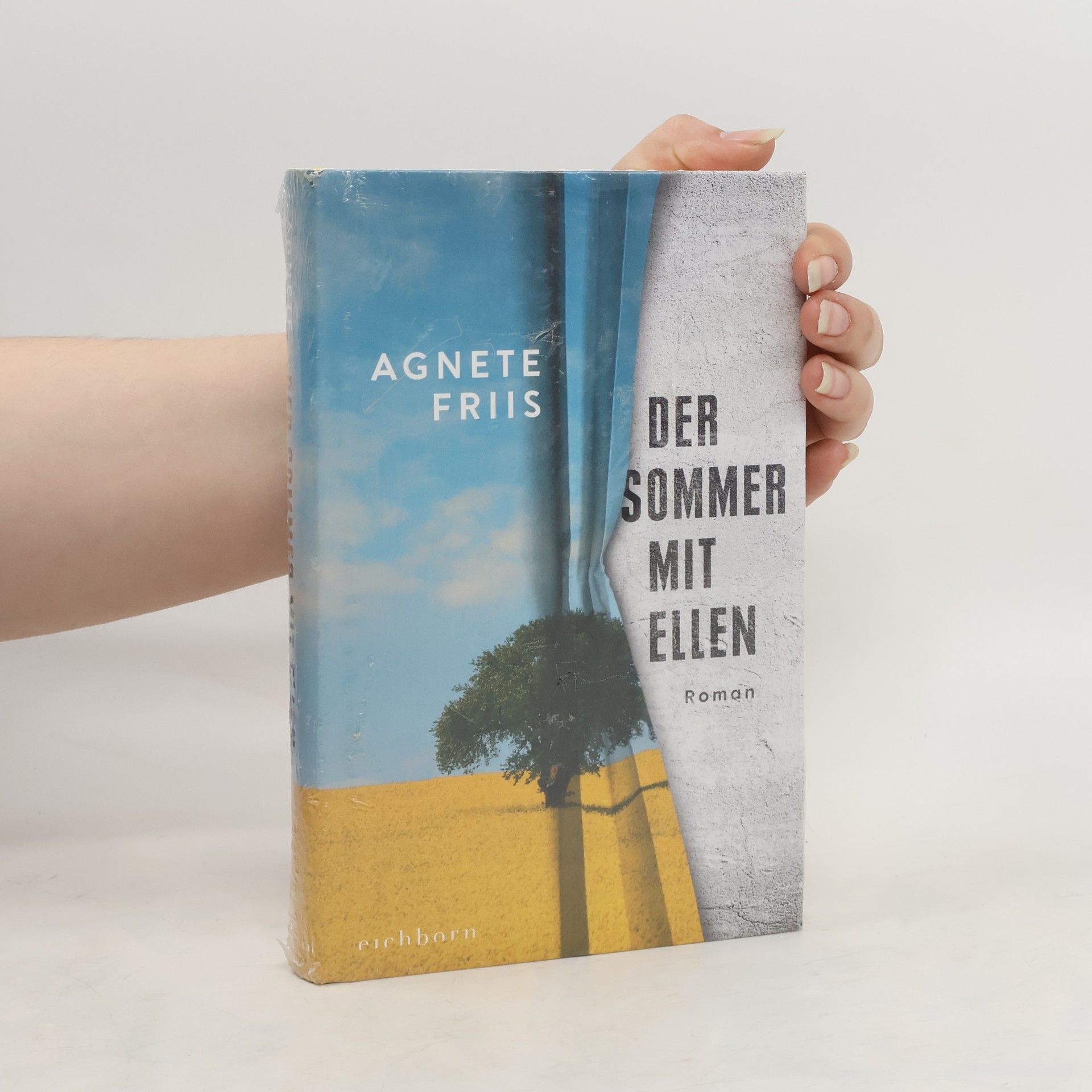 Agnete Friis Die Sommer mit ellen