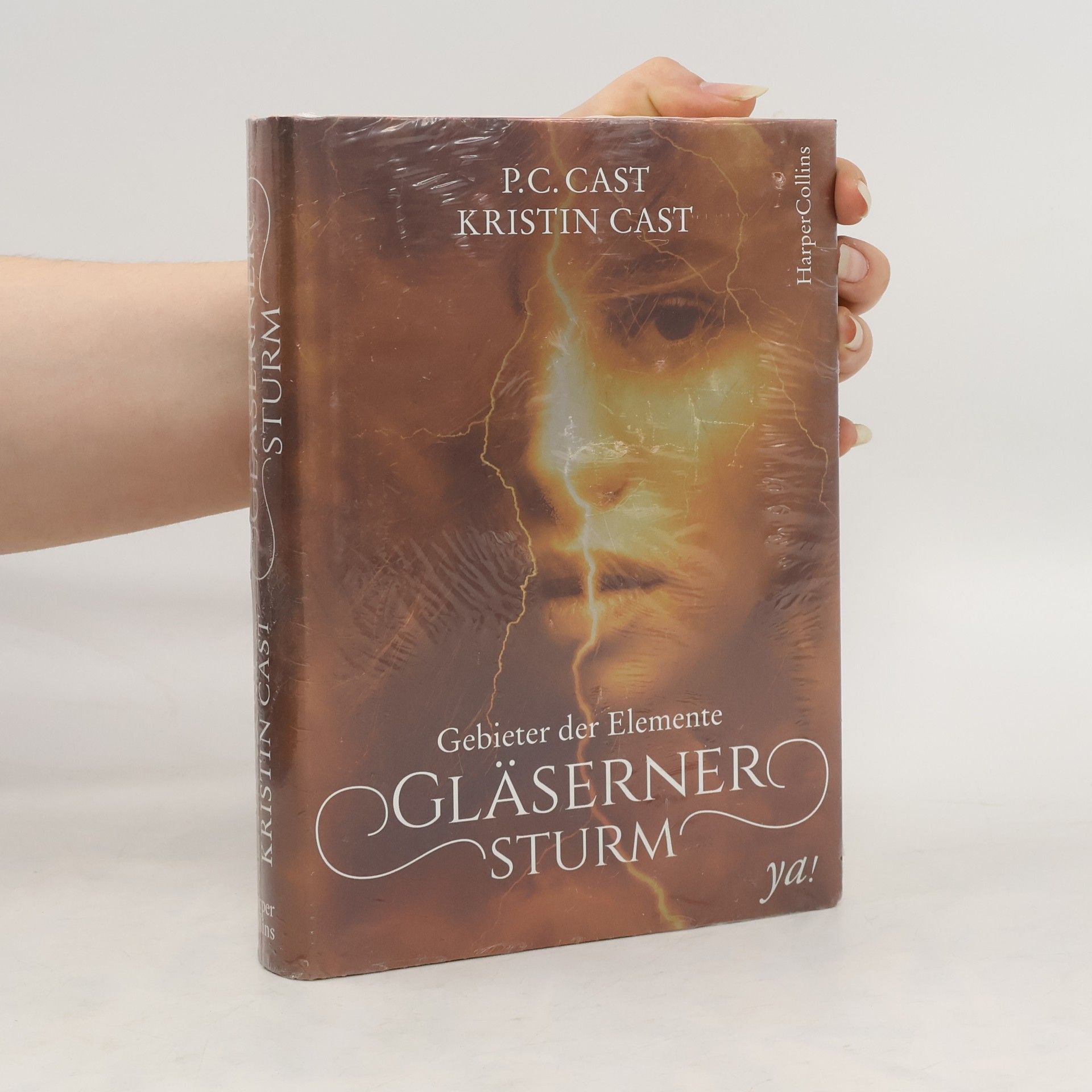 Phyllis Christine Cast Gebieter der Elemente - gläserner Sturm