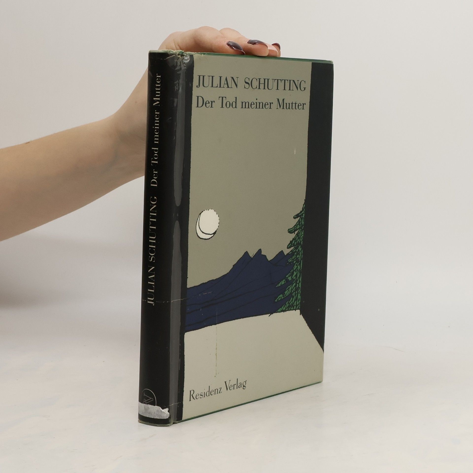 Julian Schutting Der Tod meiner Mutter