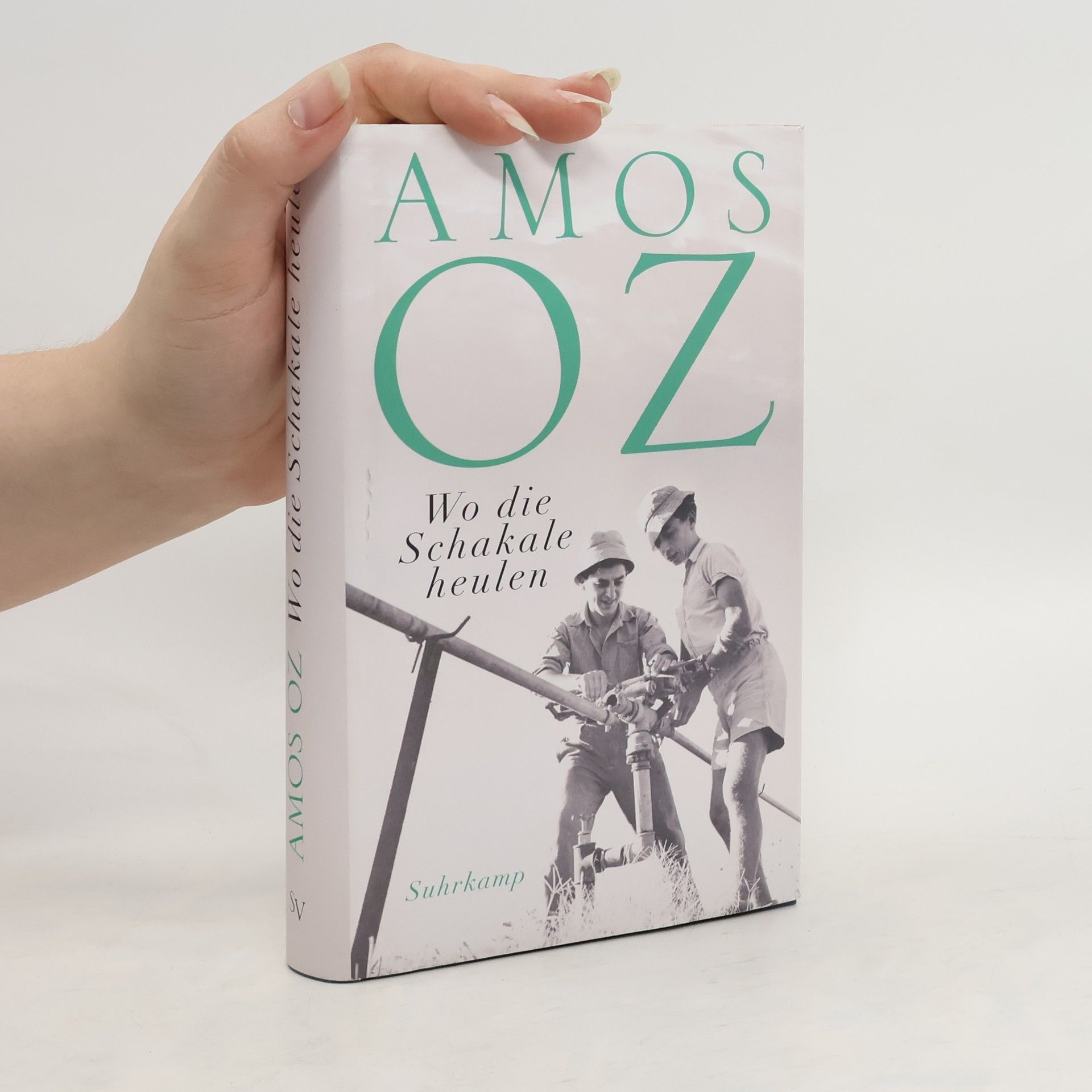 Amos Oz Wo die Schakale heulen