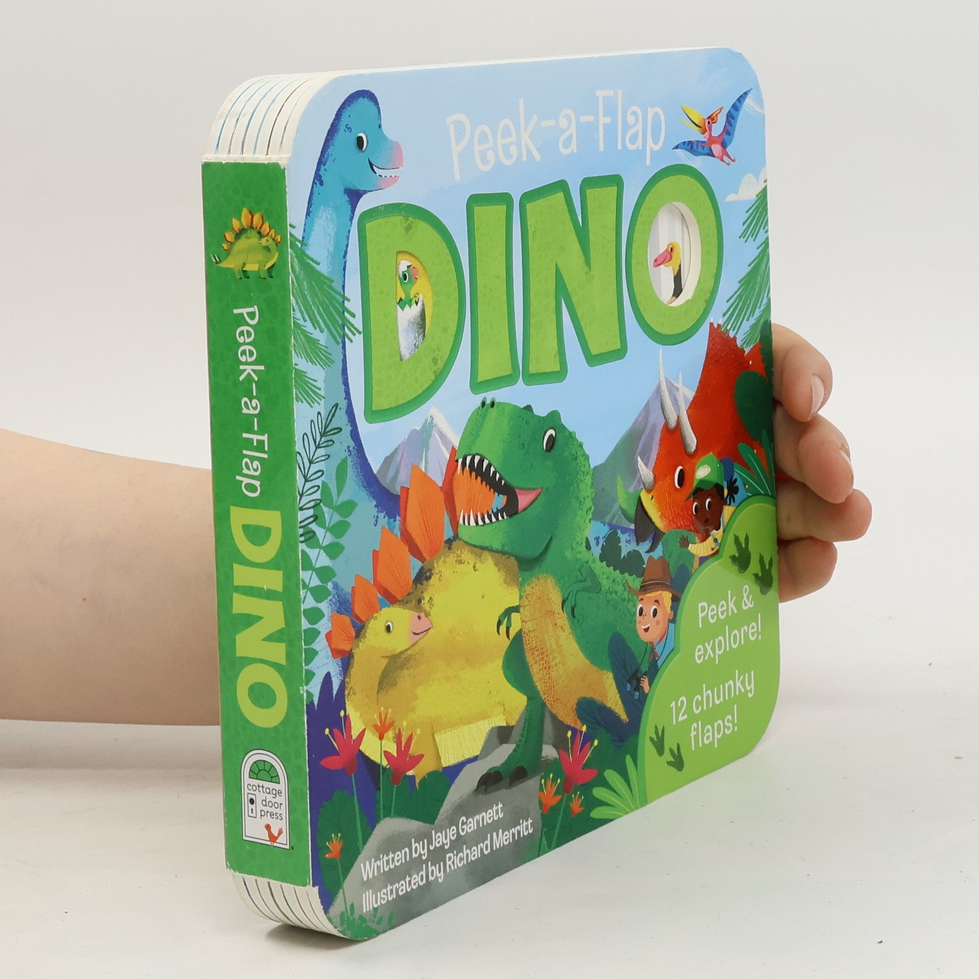 Jaye Garnett Dino