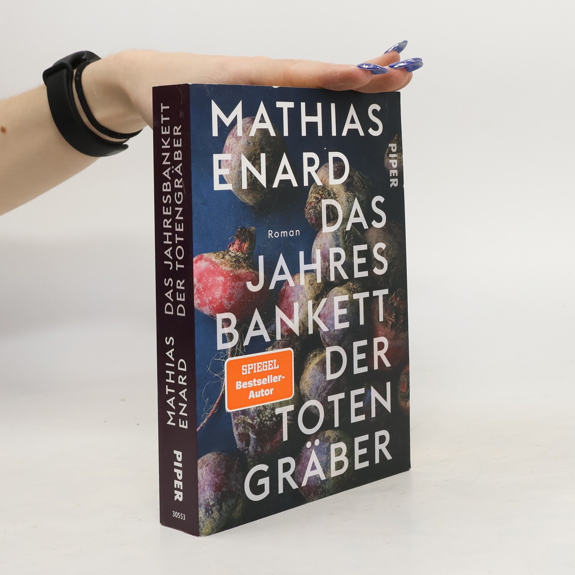 Mathias Énard Das Jahresbankett der Totengräber