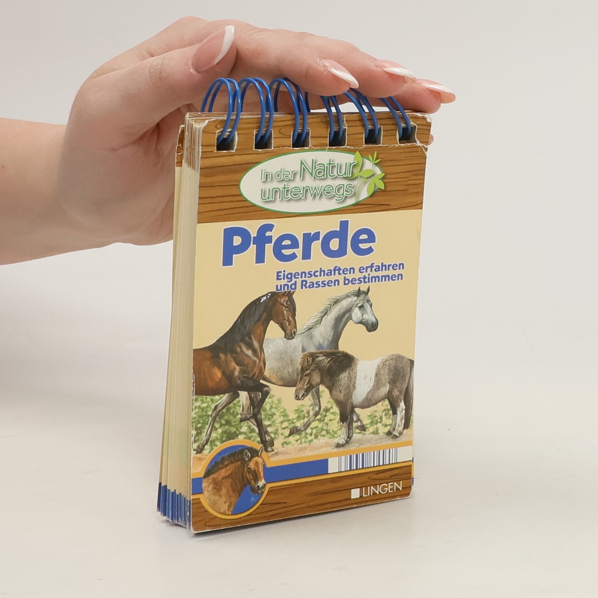 Autorenkollektiv Pferde