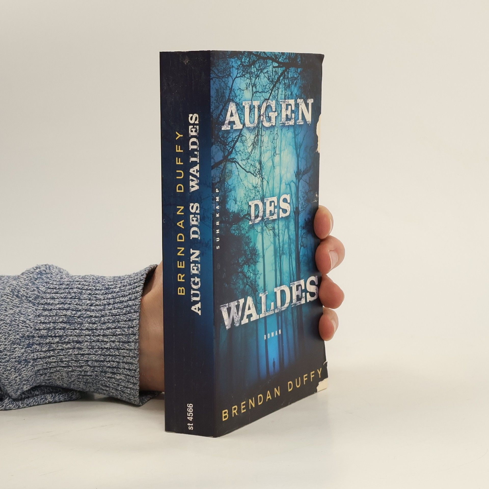 Brendan Duffy Die Augen des Waldes