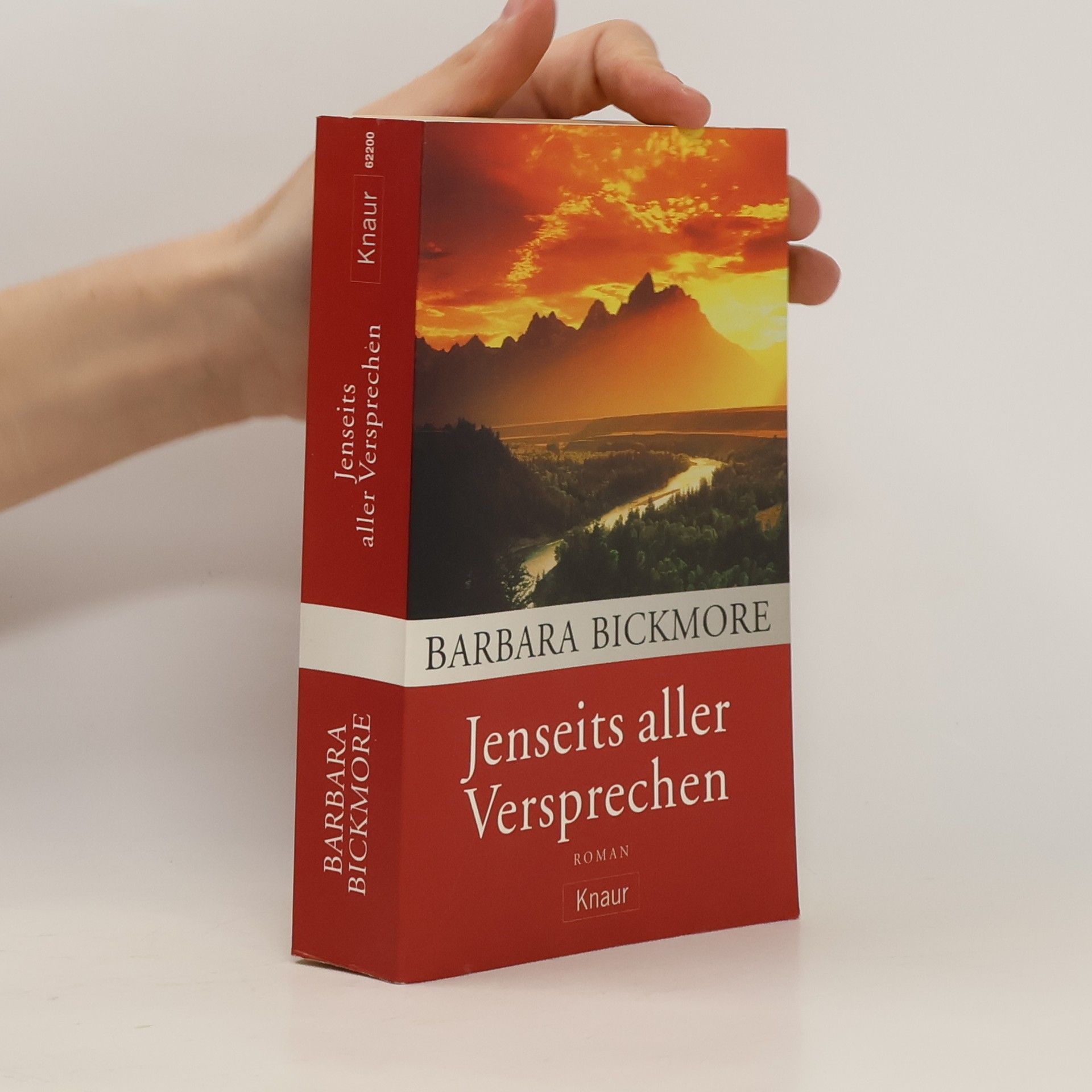 Barbara Bickmore Jenseits aller Versprechen