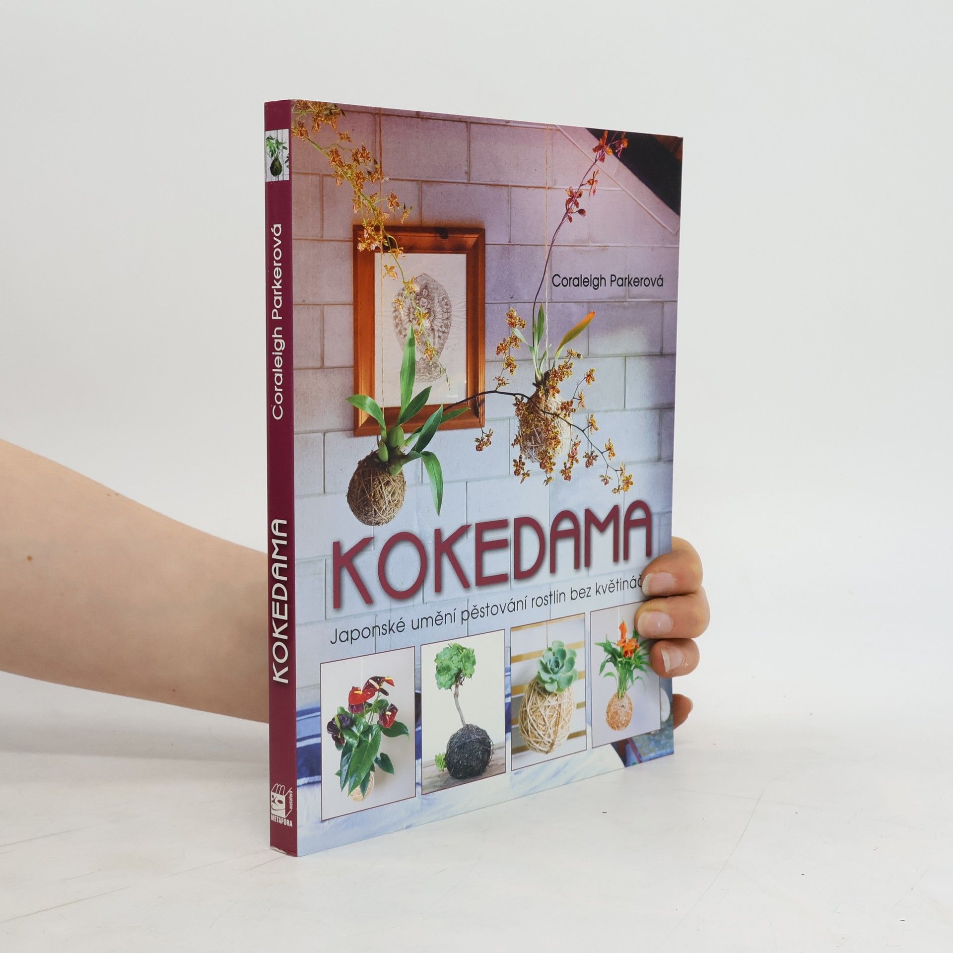 Coraleigh Parker Kokedama - Japonské umění pěstování rostlin bez květináčů