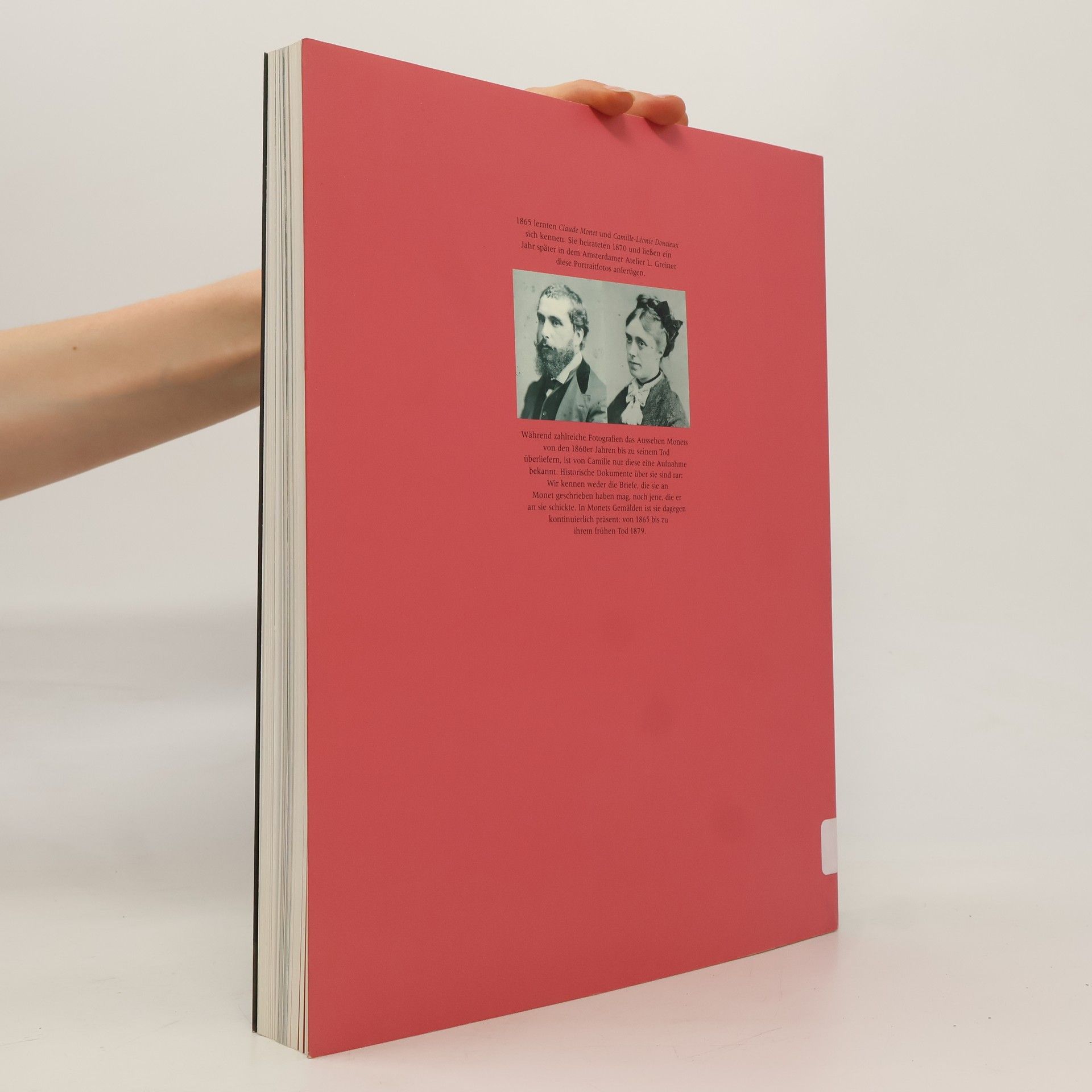Dorothee Hansen Monet und Camille