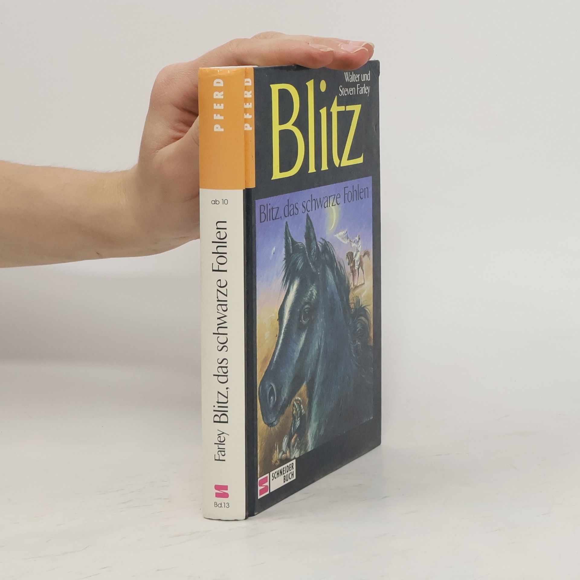 Walter Farley Blitz, das schwarze Fohlen