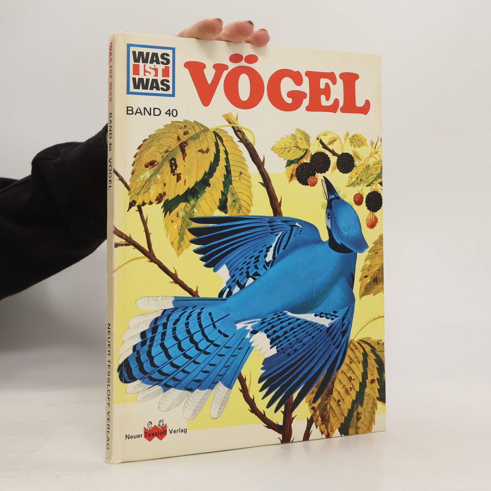 Heinrich Hoerschelmann Vögel