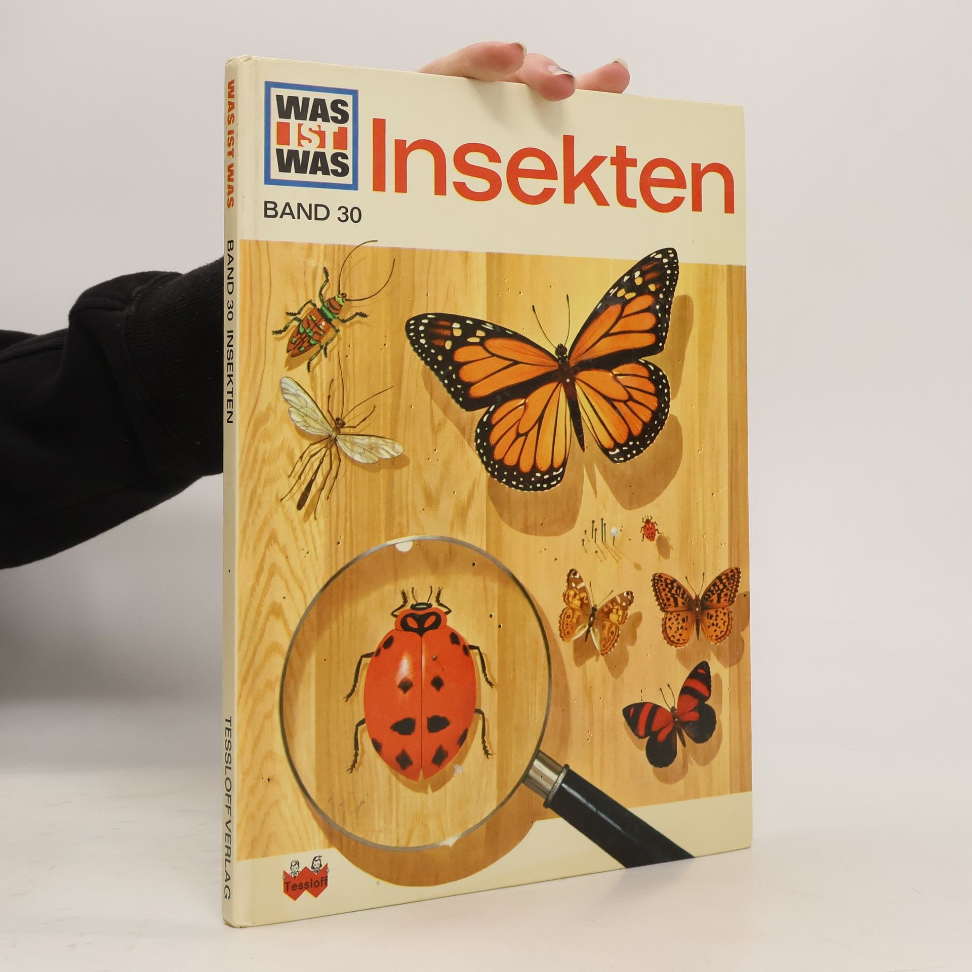 Sabine Steghaus Kovac Insekten