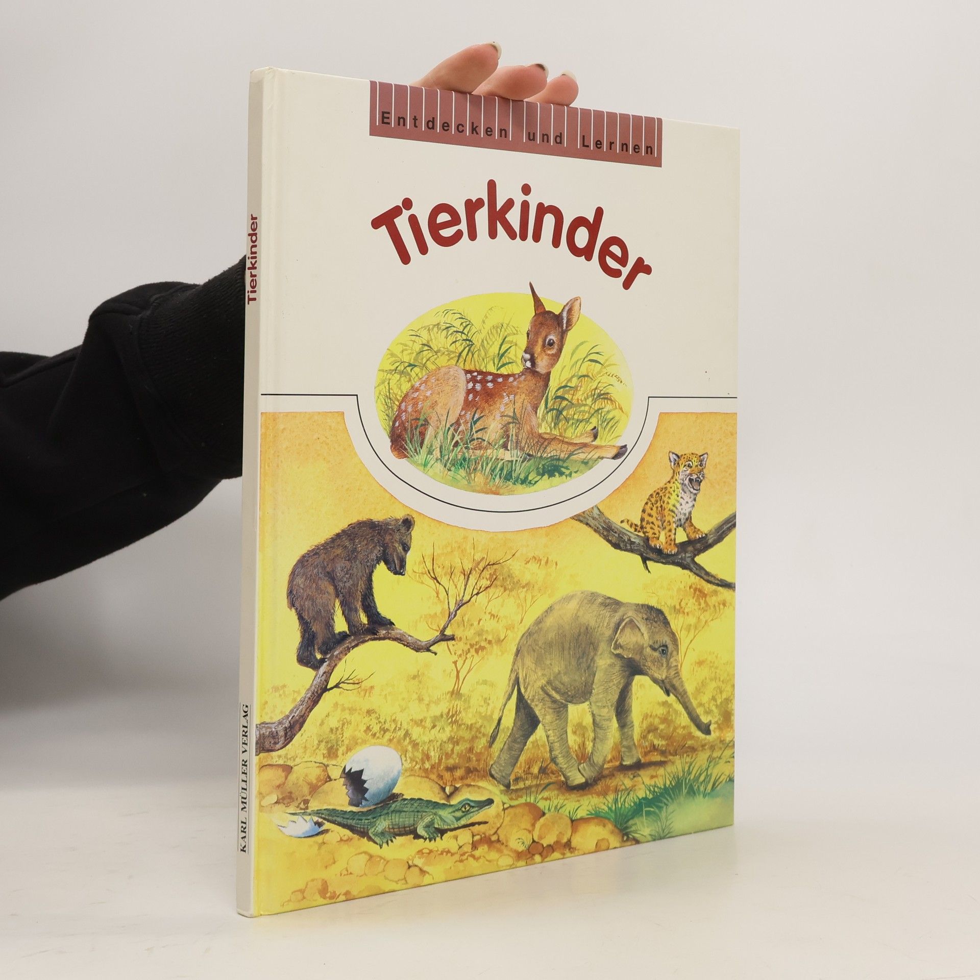 Collectif d'auteurs Entdecken und Lernen. Tierkinder