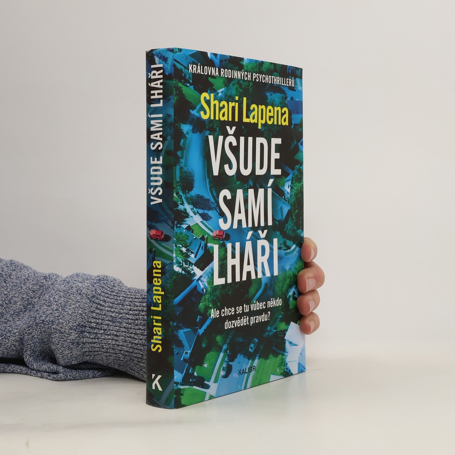 Shari Lapena Všude samí lháři