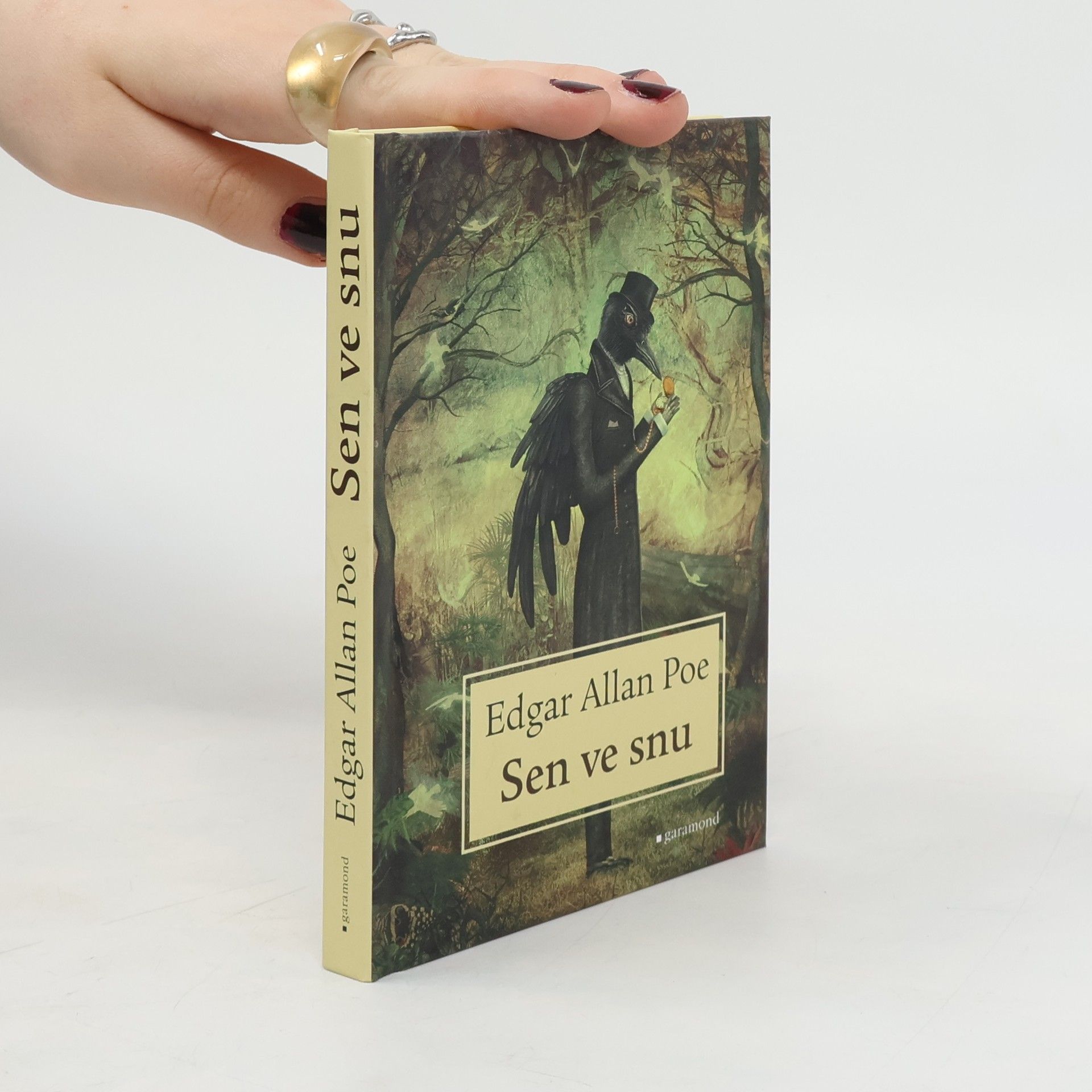 Edgar Allan Poe Sen ve snu