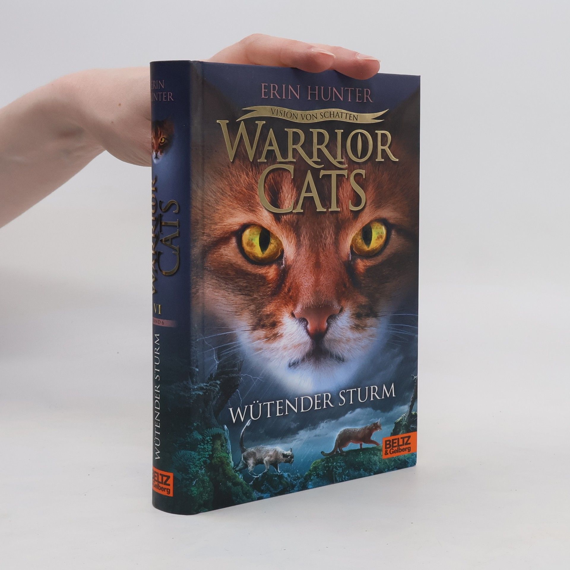 Erin Hunter Wütender Sturm