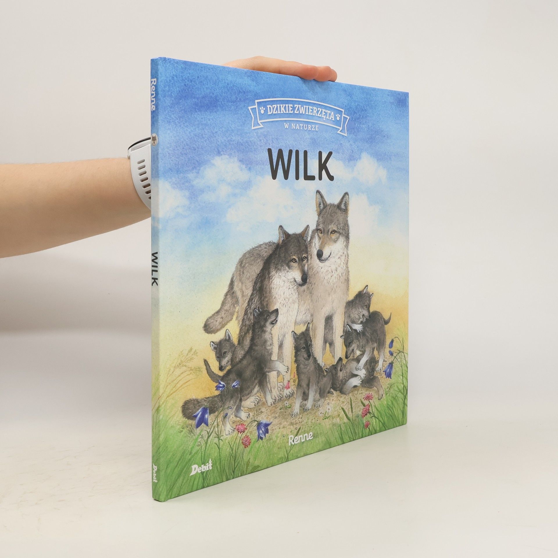 Renne Renne Dzikie zwierzęta w naturze. Wilk