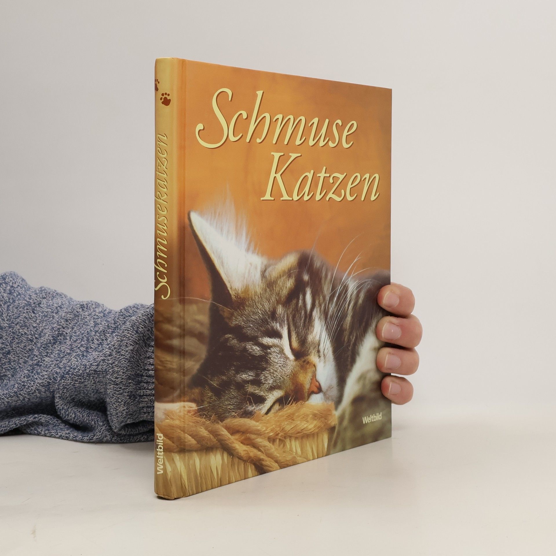 Monika Auberger Schmuse-Katzen