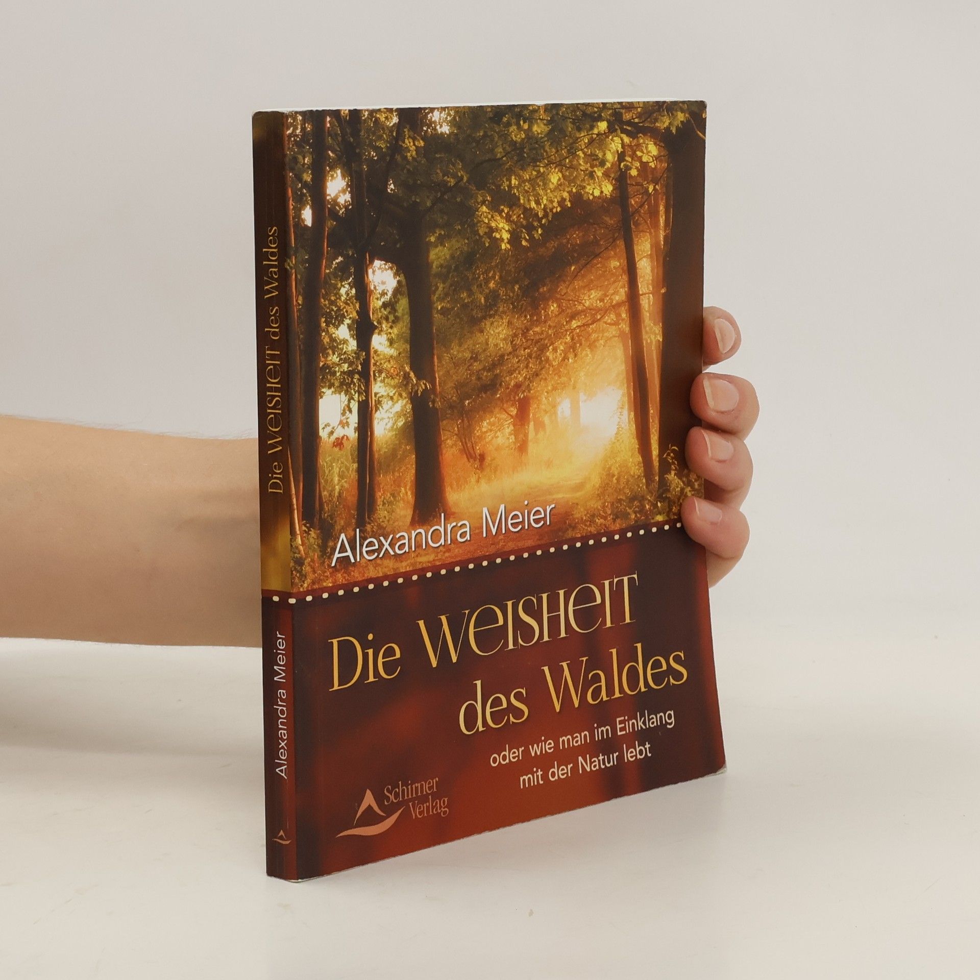 Alexandra Meier Die Weisheit des Waldes