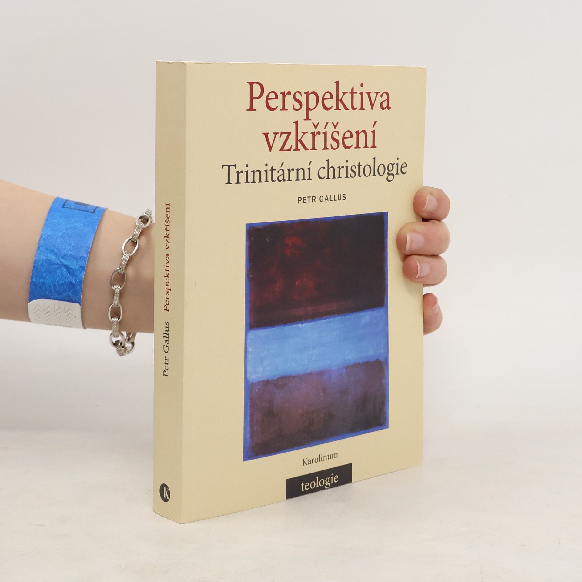 Petr Gallus Perspektiva vzkříšení: Trinitární christologie