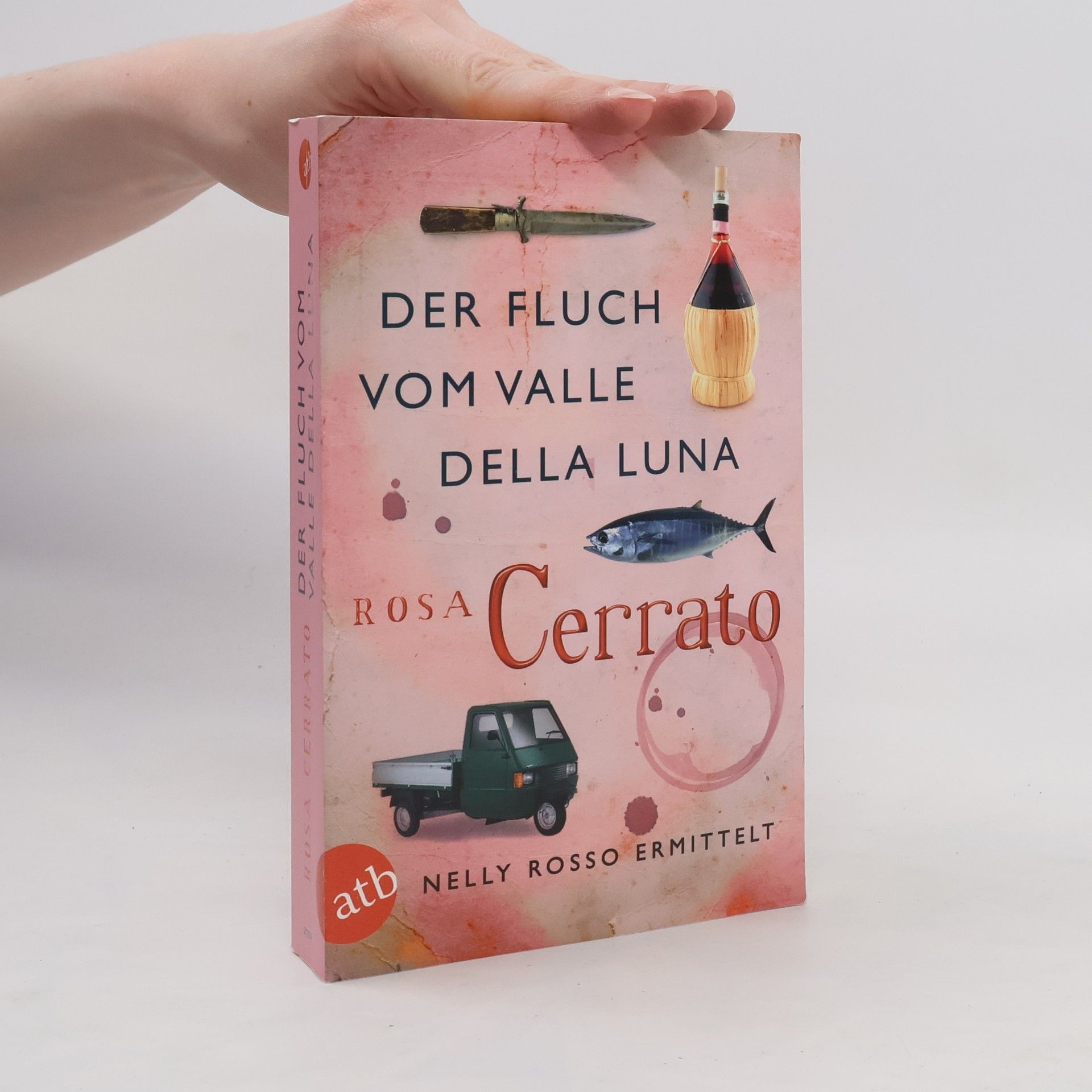 Rosa Cerrato Der Fluch vom Valle della Luna