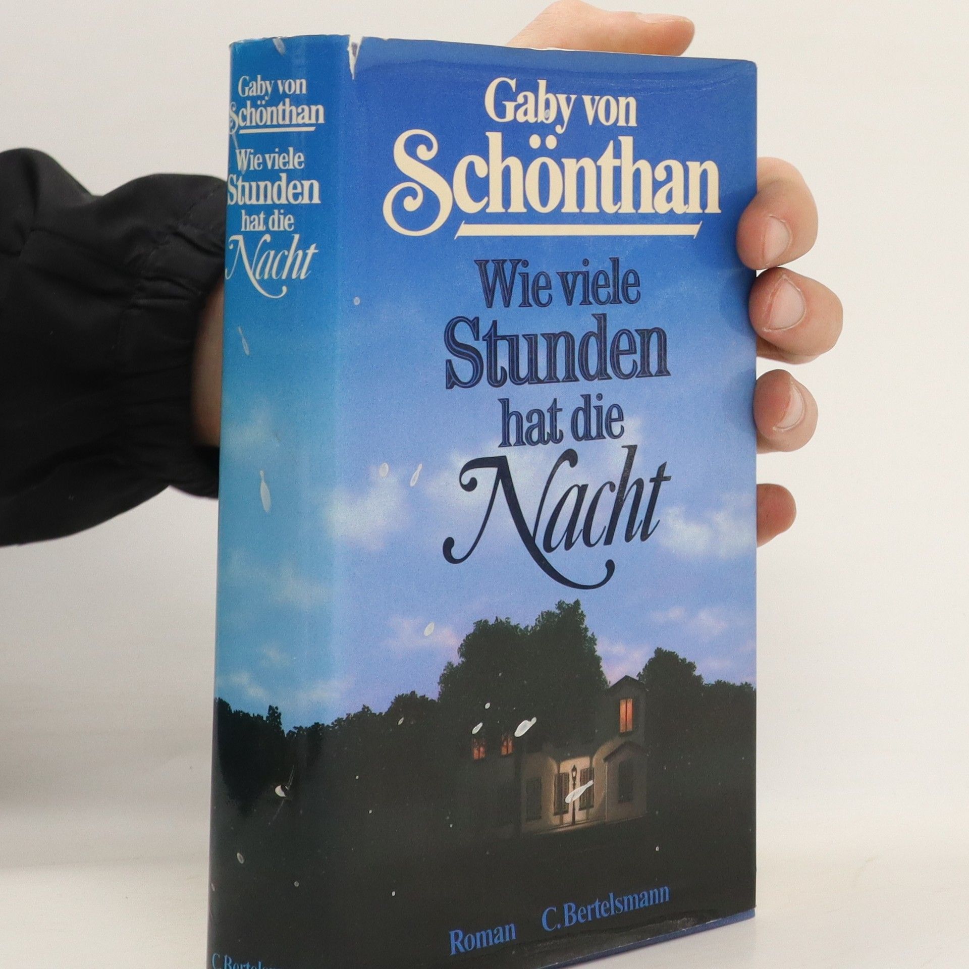 Gaby von Schönthan Wie viele Stunden hat die Nacht