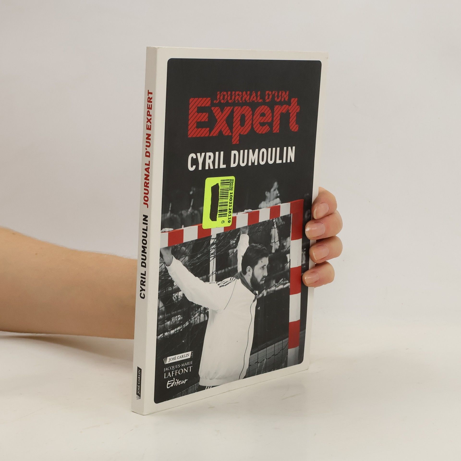 Cyril Dumoulin Journal d'un expert