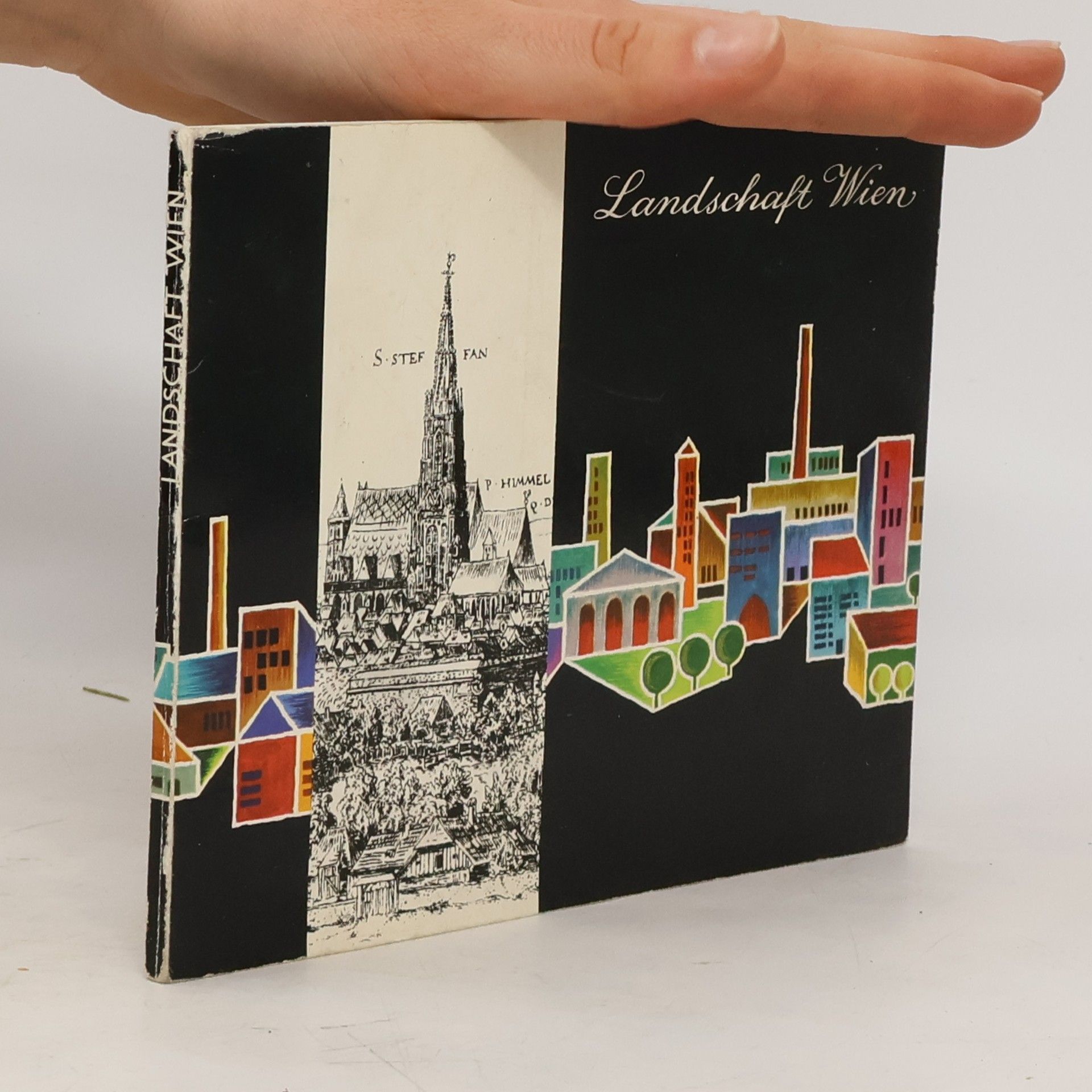 Kolektív autorov Landschaft Wien