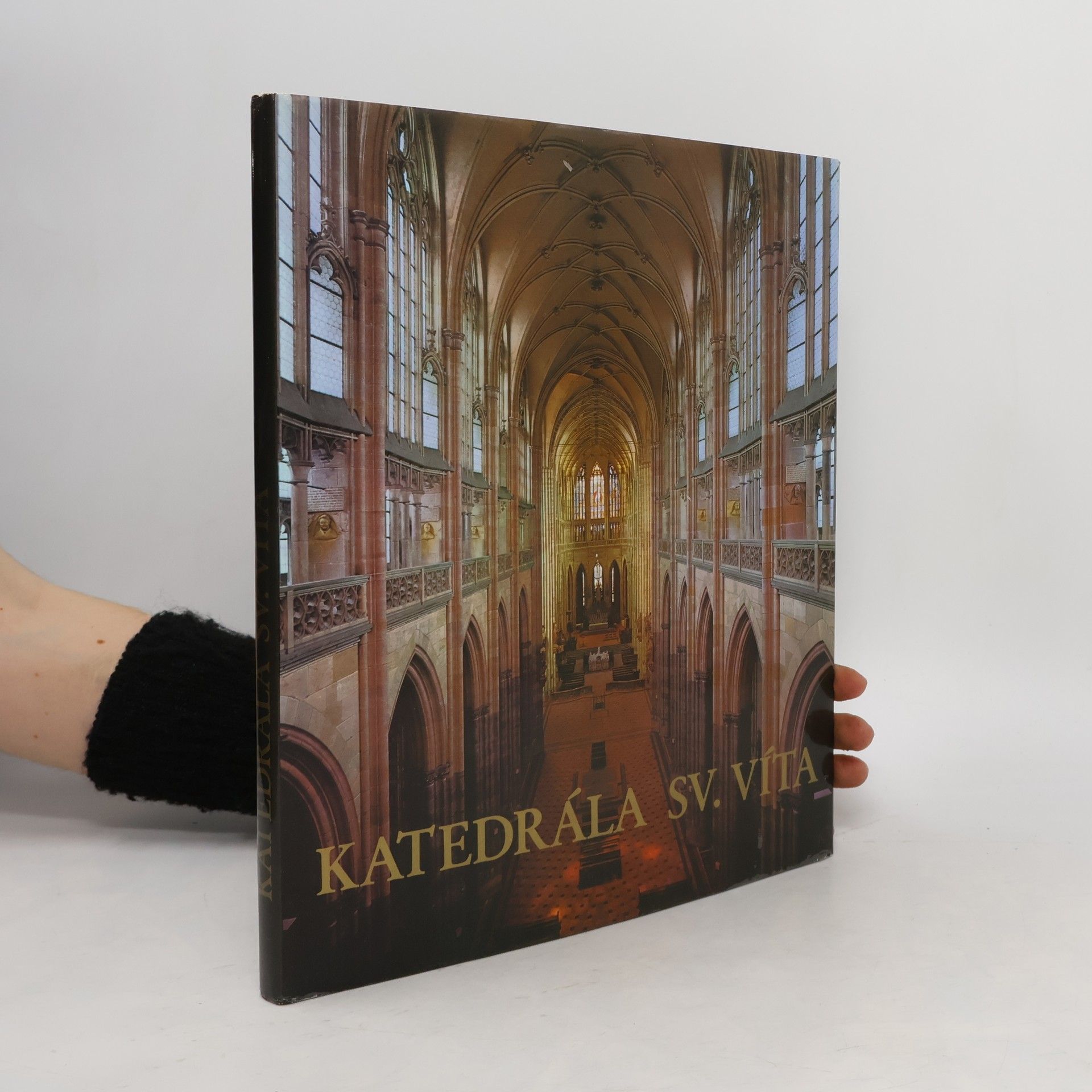 Jiří Burian Katedrála sv. Víta