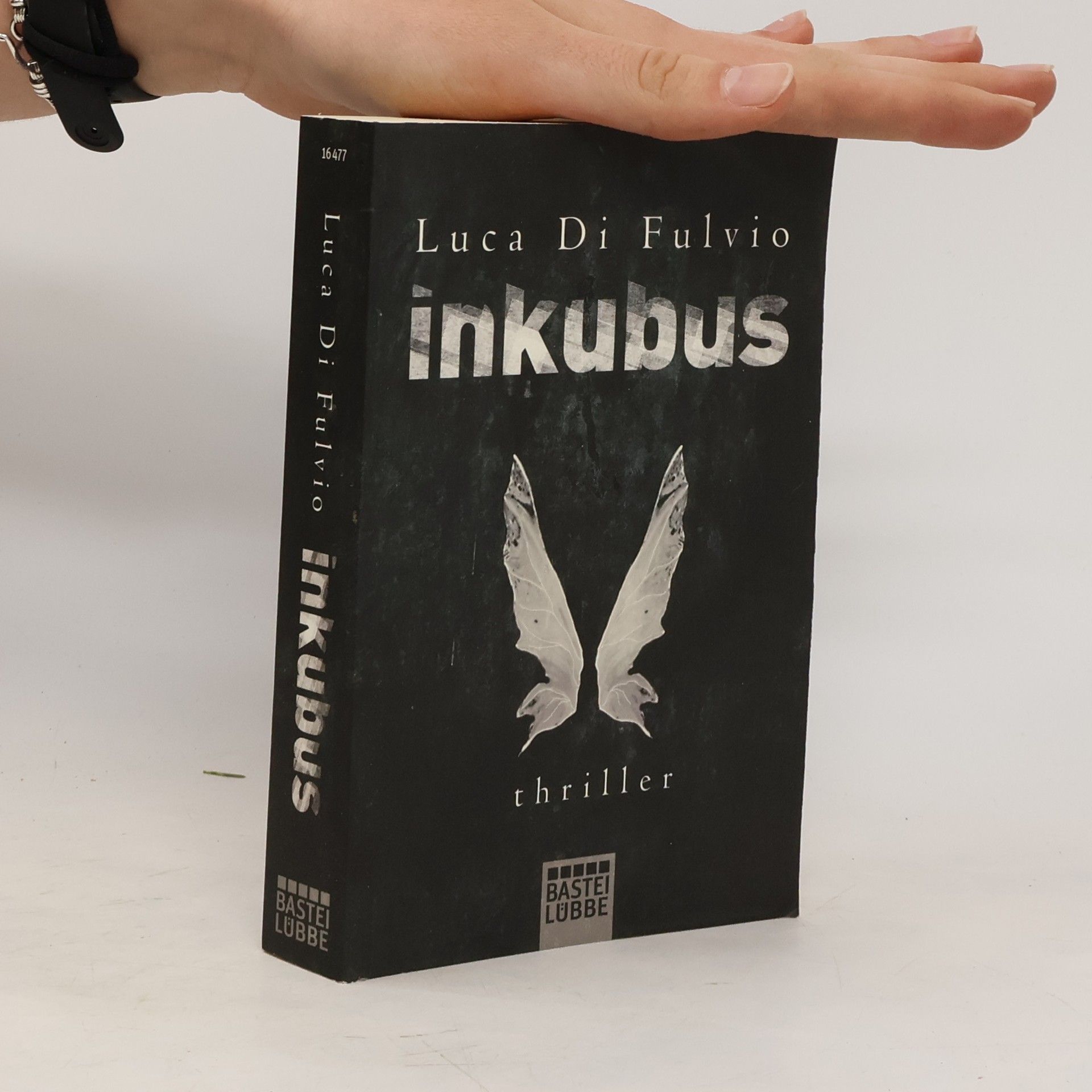 Luca Di Fulvio Inkubus