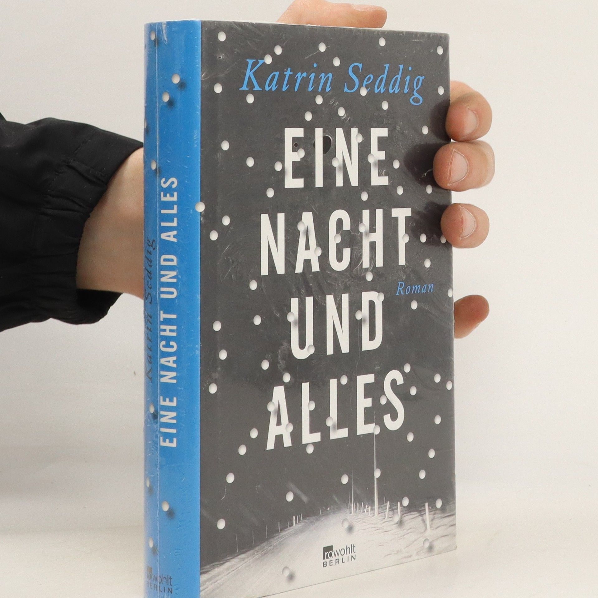 Katrin Seddig Eine Nacht und alles