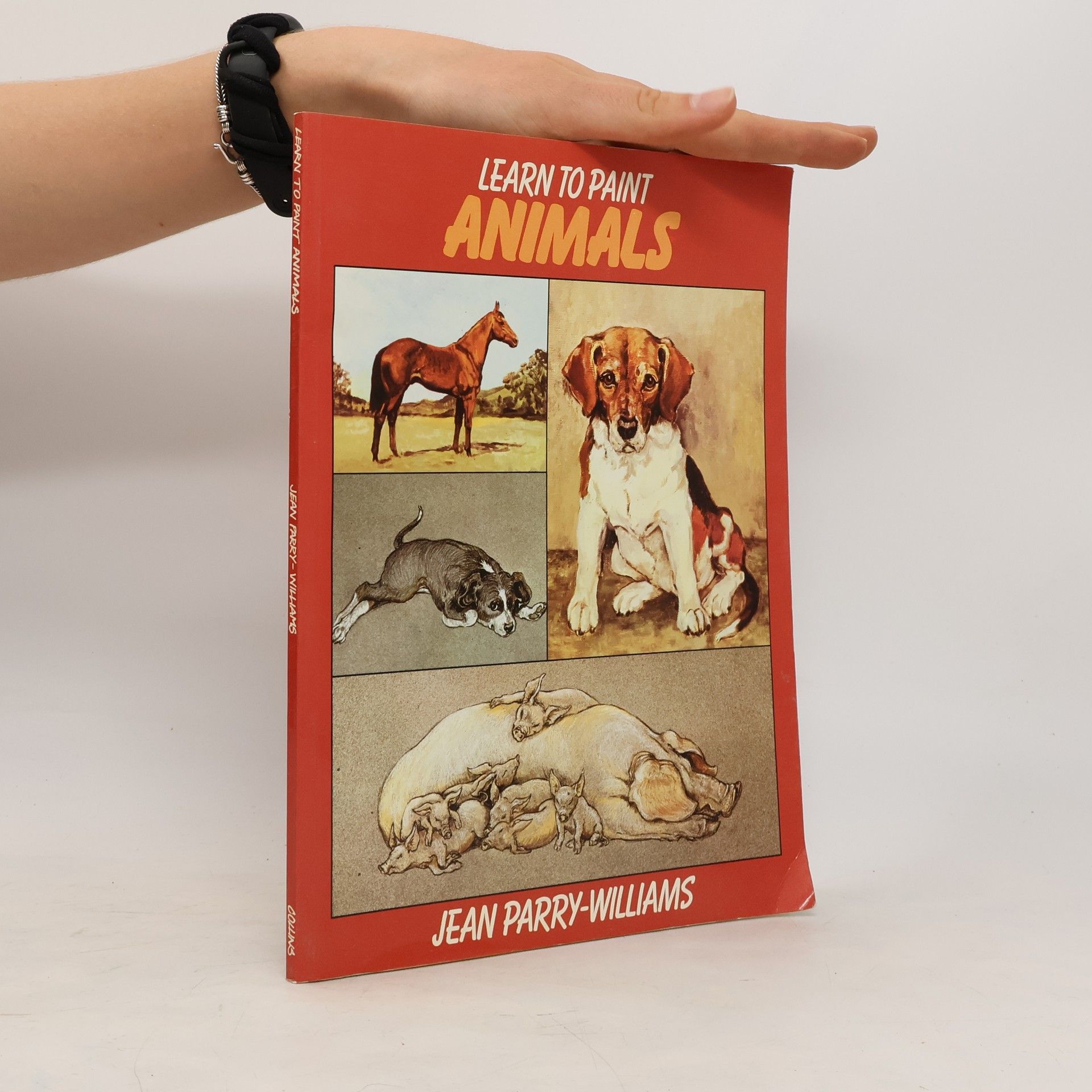Jean Parry-Williams Learn to Paint Animals