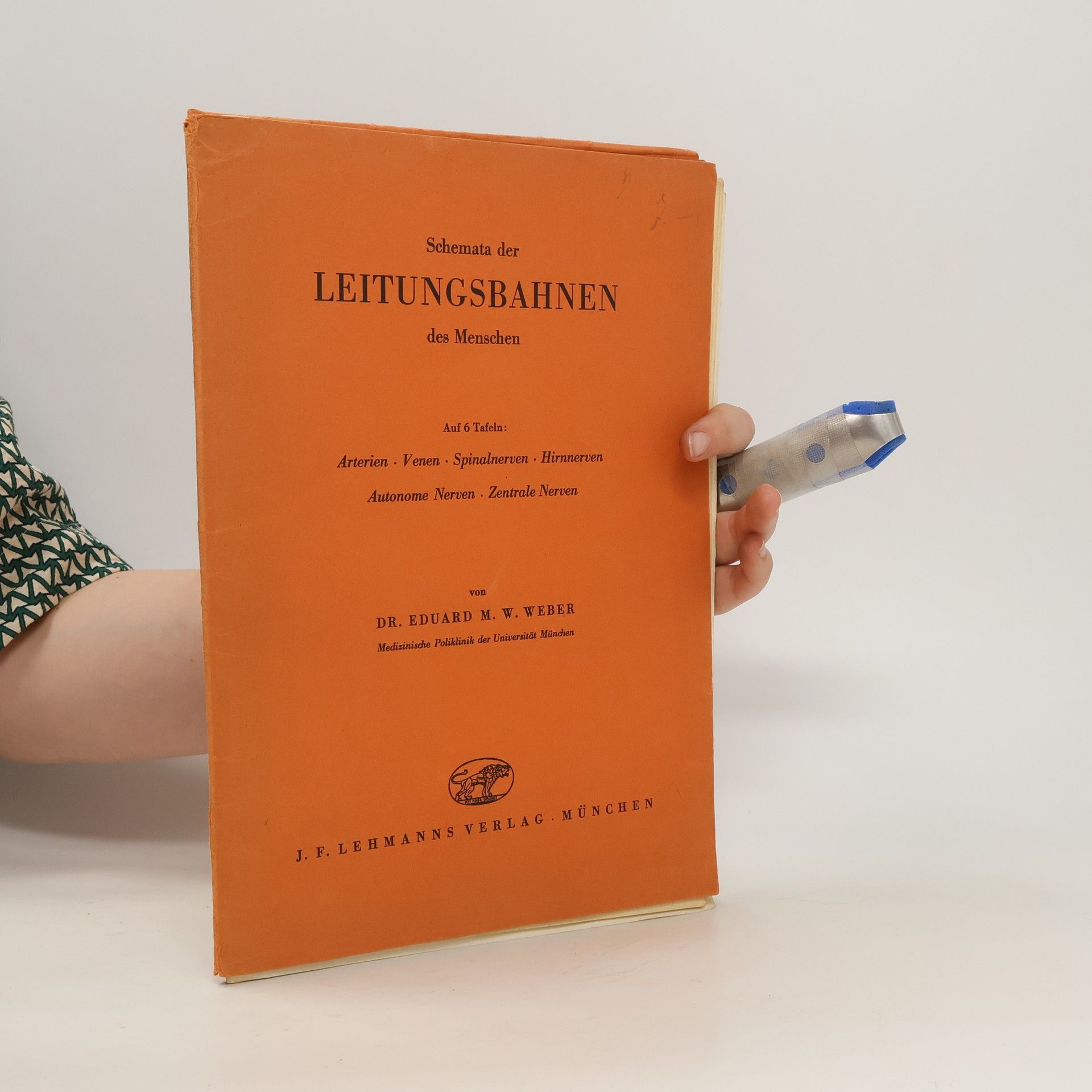 Eduard M. W. Weber Schemata der Leitungsbahnen des Menschen