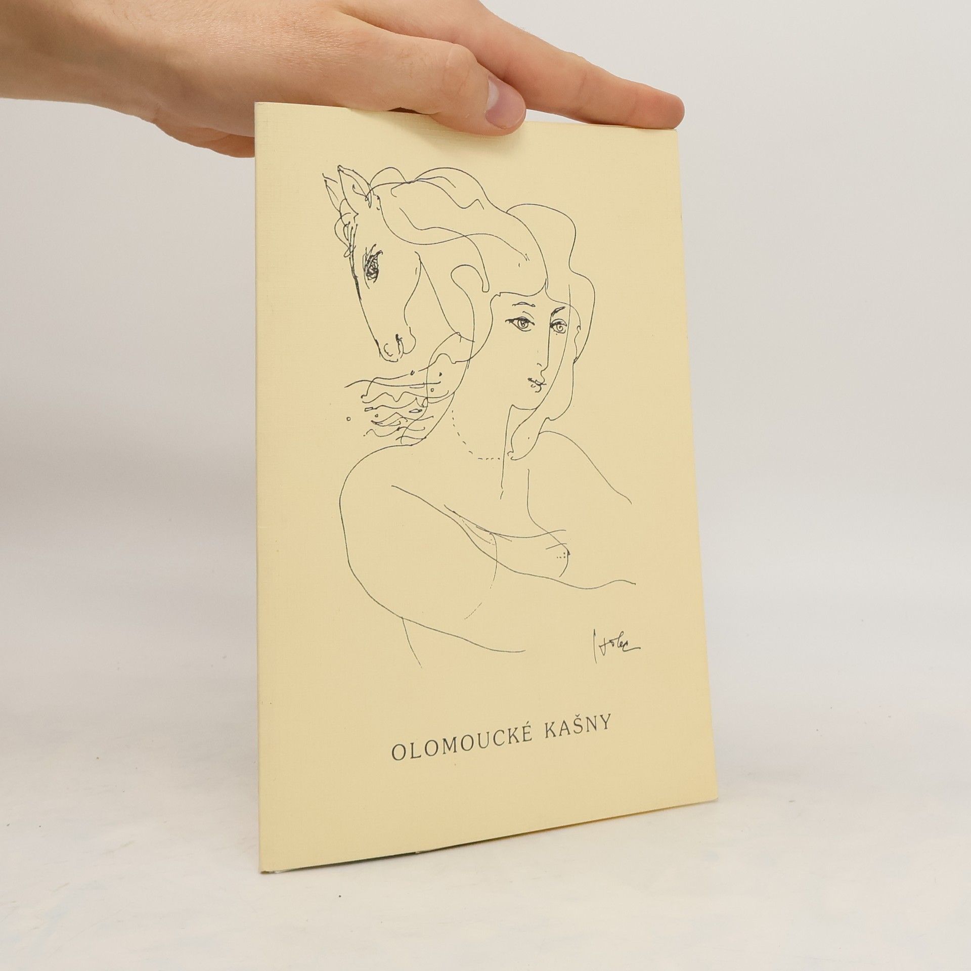 Kolektív autorov Olomoucké kašny