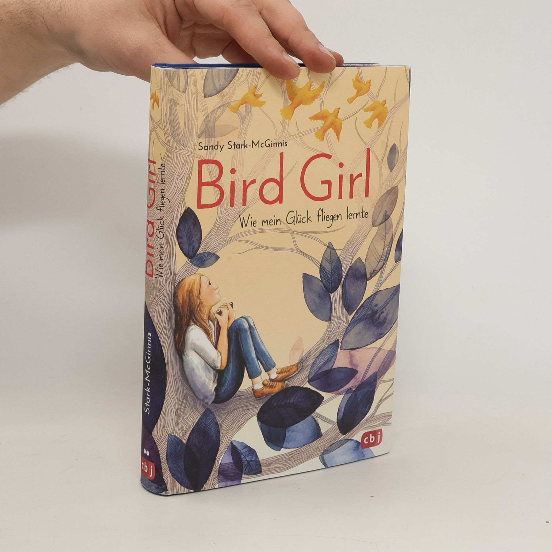 Sandy Stark-McGinnis Bird Girl - Wie mein Glück fliegen lernte