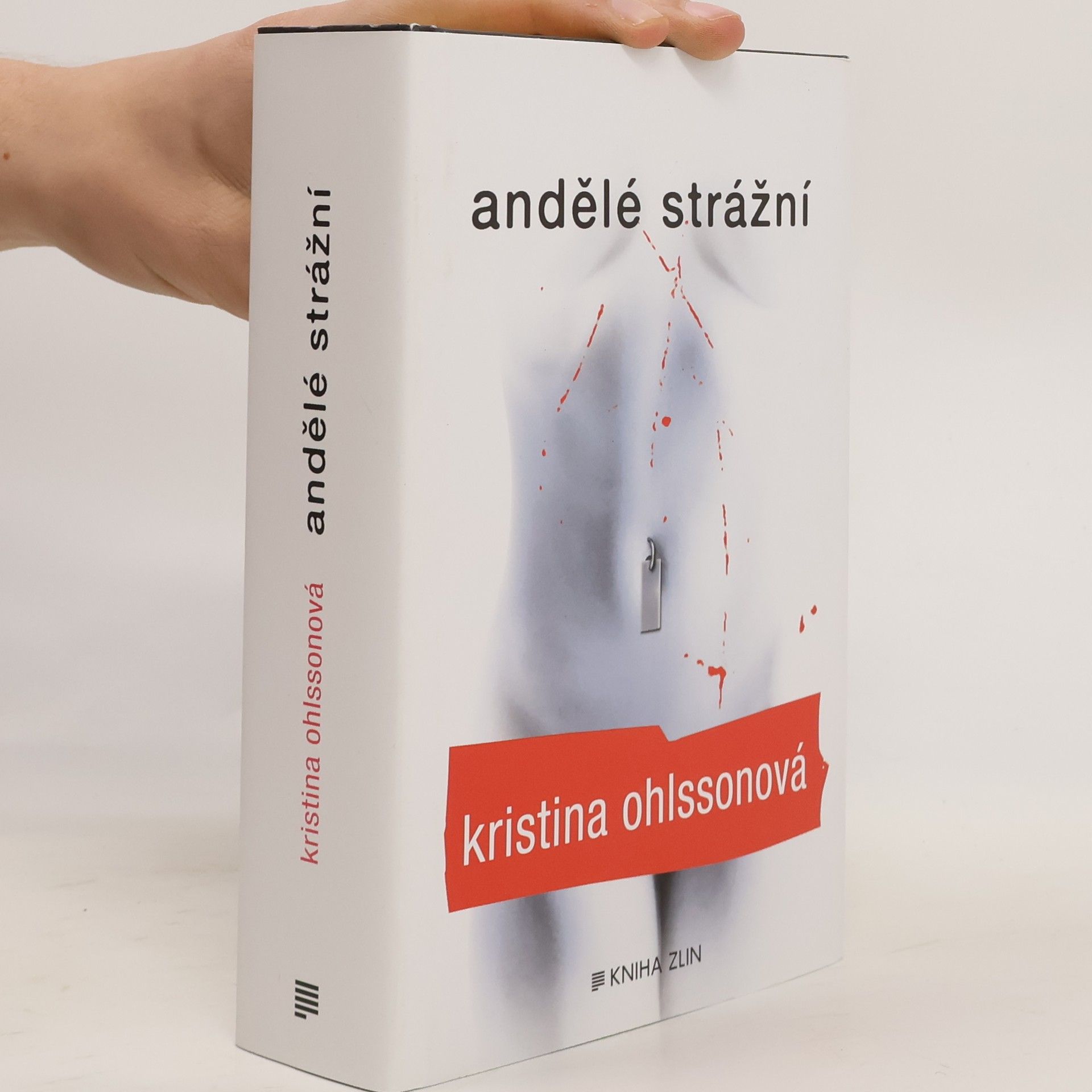 Kristina Ohlsson Andělé strážní