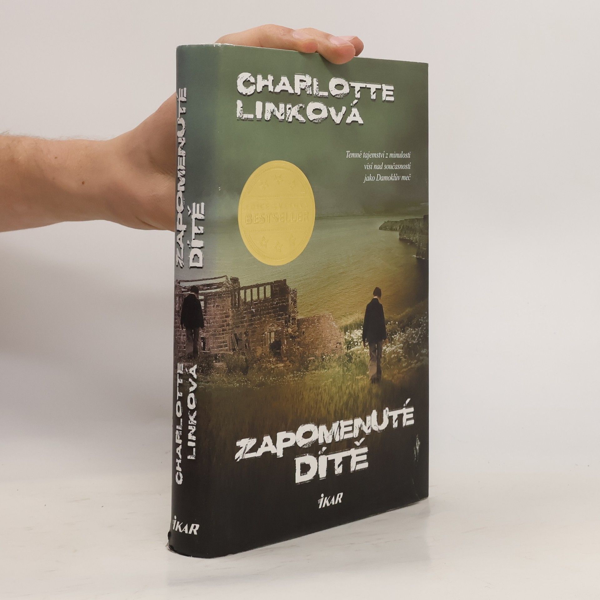 Charlotte Link Zapomenuté dítě