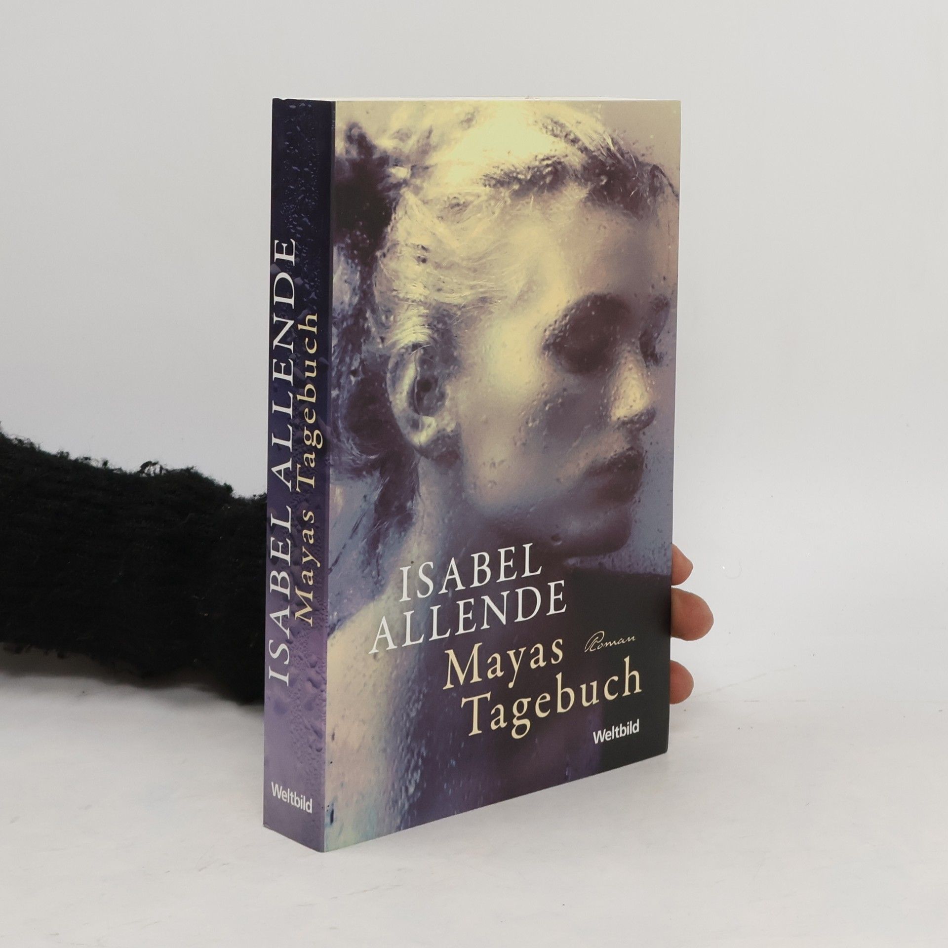 Isabel Allende Mayas Tagebuch