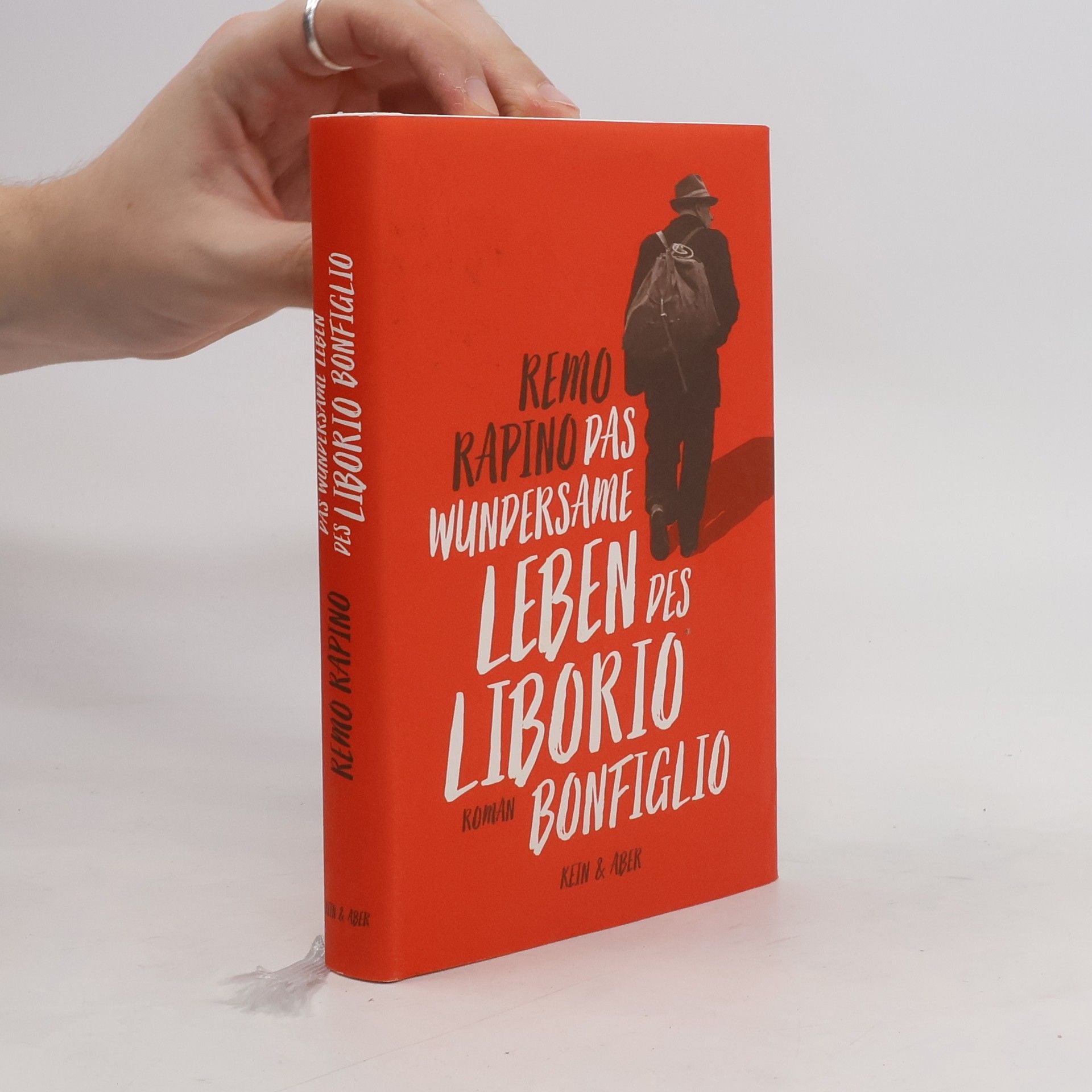 Remo Rapino Das wundersame Leben des Liborio Bonfiglio