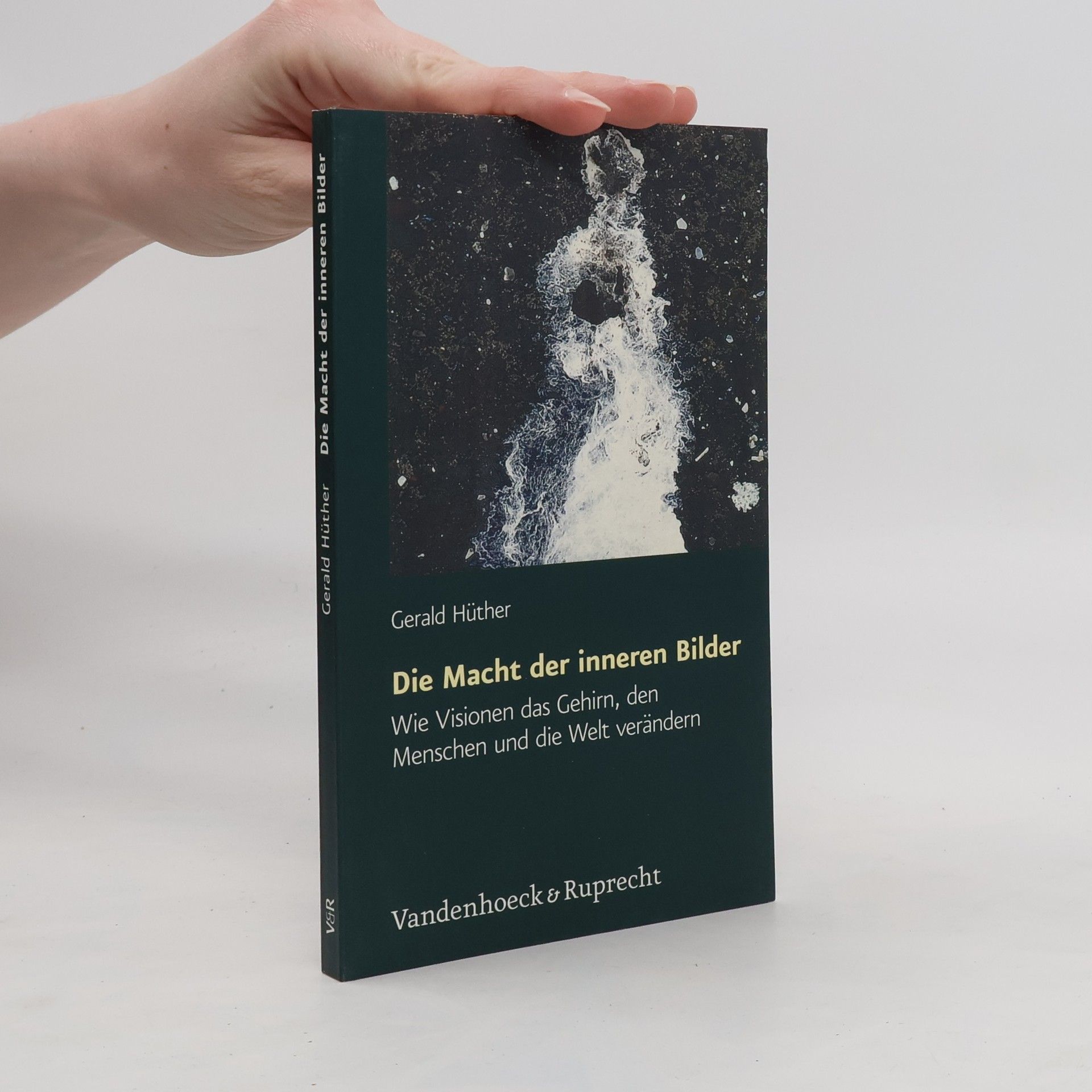 Gerald Hüther Die Macht der inneren Bilder