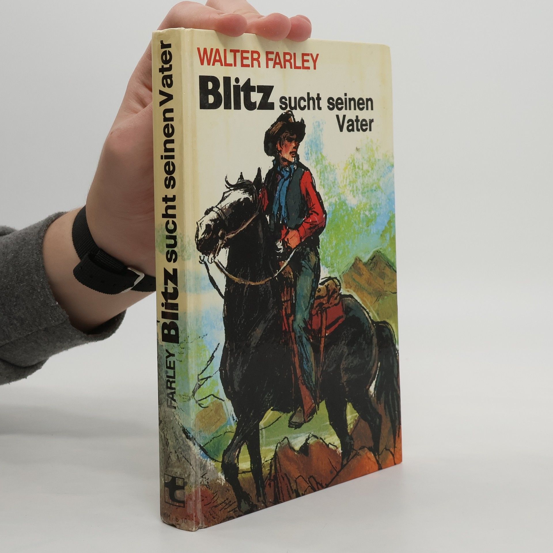 Walter Farley Blitz sucht seinen Vater