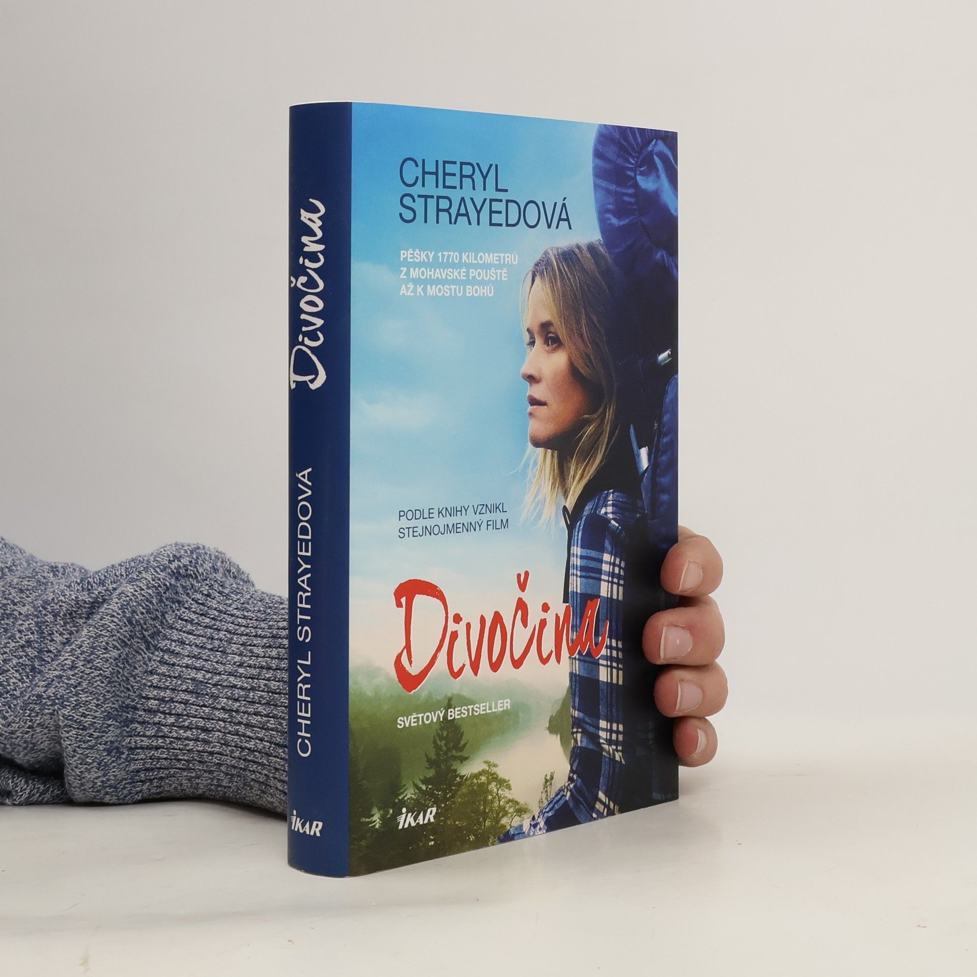 Cheryl Strayed Divočina. Pěšky 1770 kilometrů z Mohavské pouště až k mostu bohů