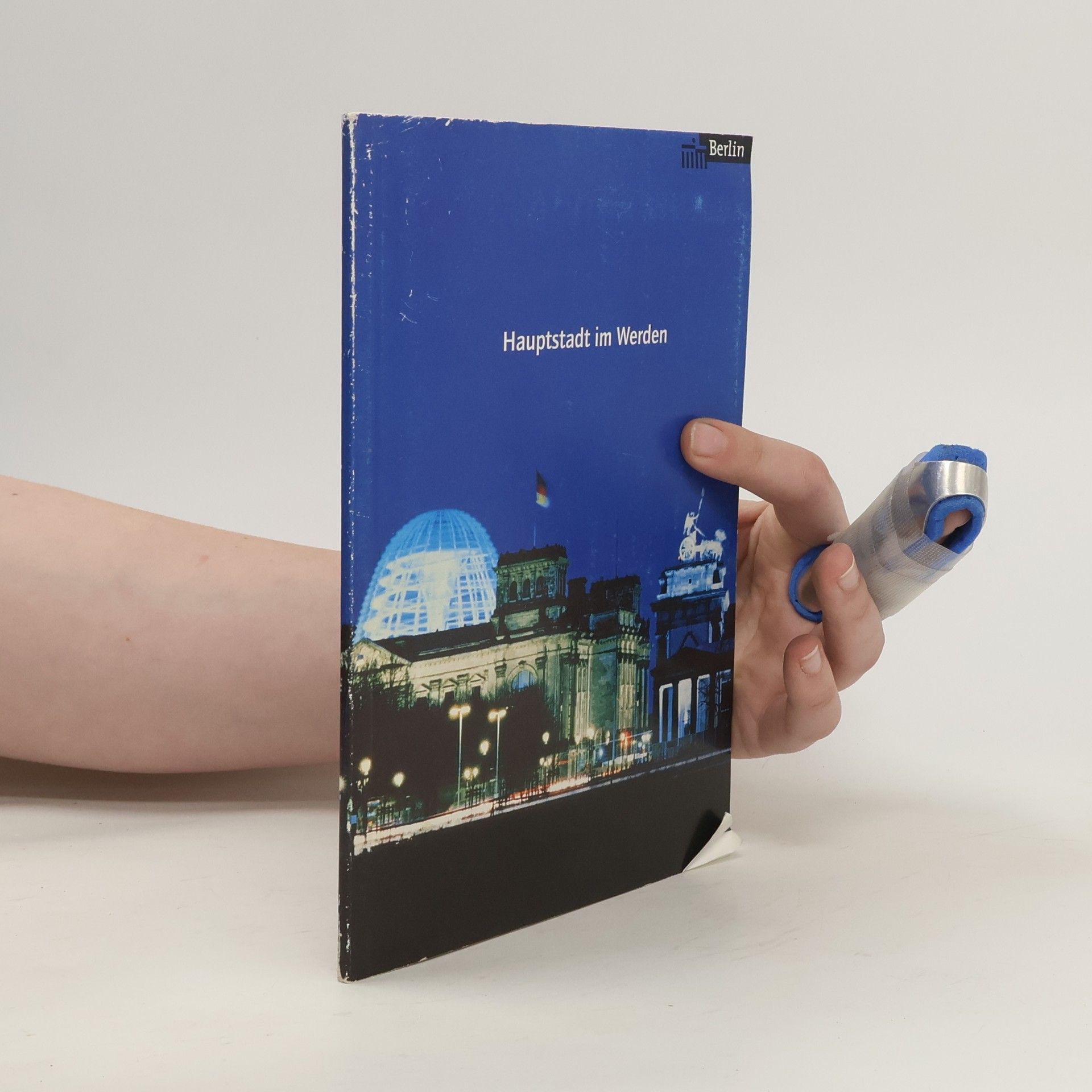 Autorenkollektiv Hauptstadt im Werden