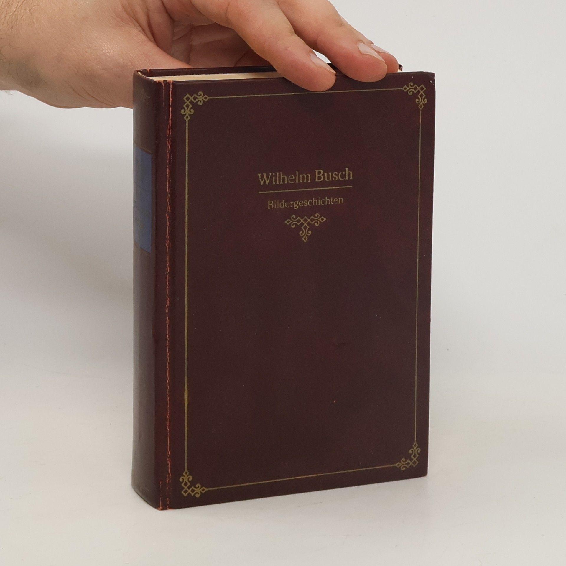 Wilhelm Busch Bildergeschichten