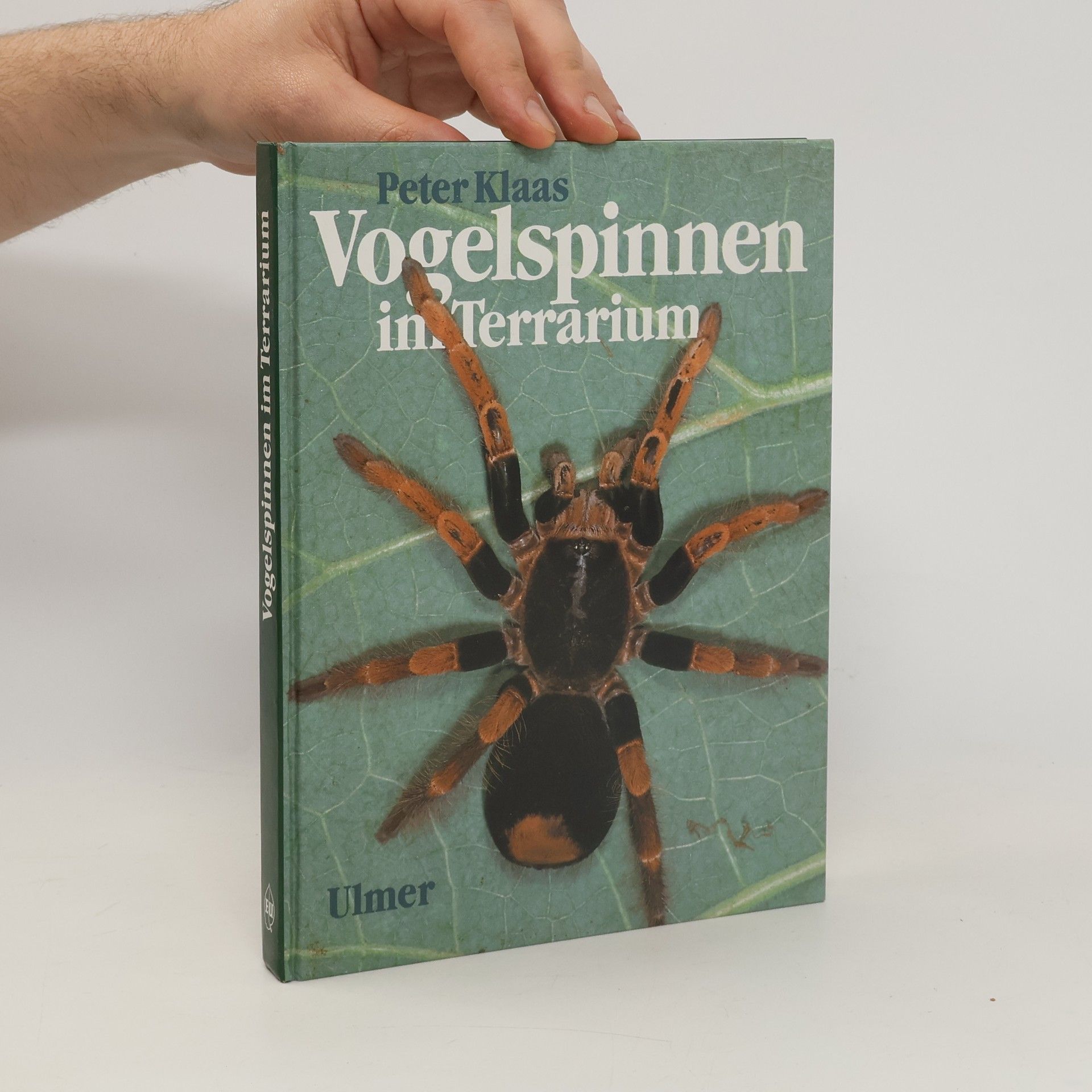Peter Klaas Vogelspinnen im Terrarium