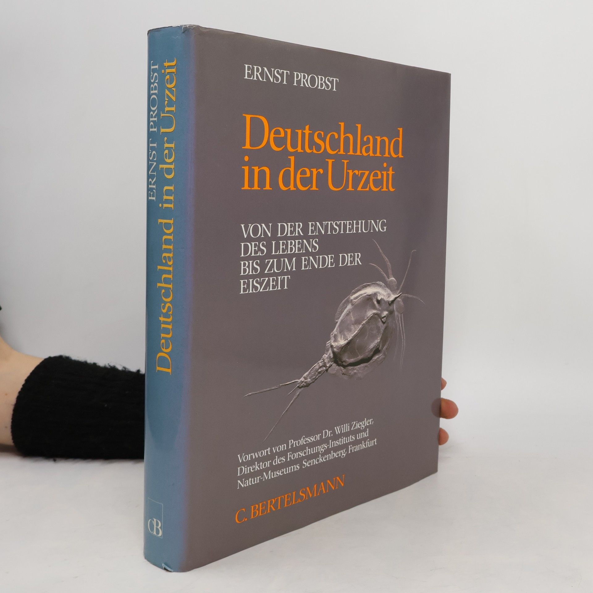 Serge Ernst Deutschland in der Urzeit