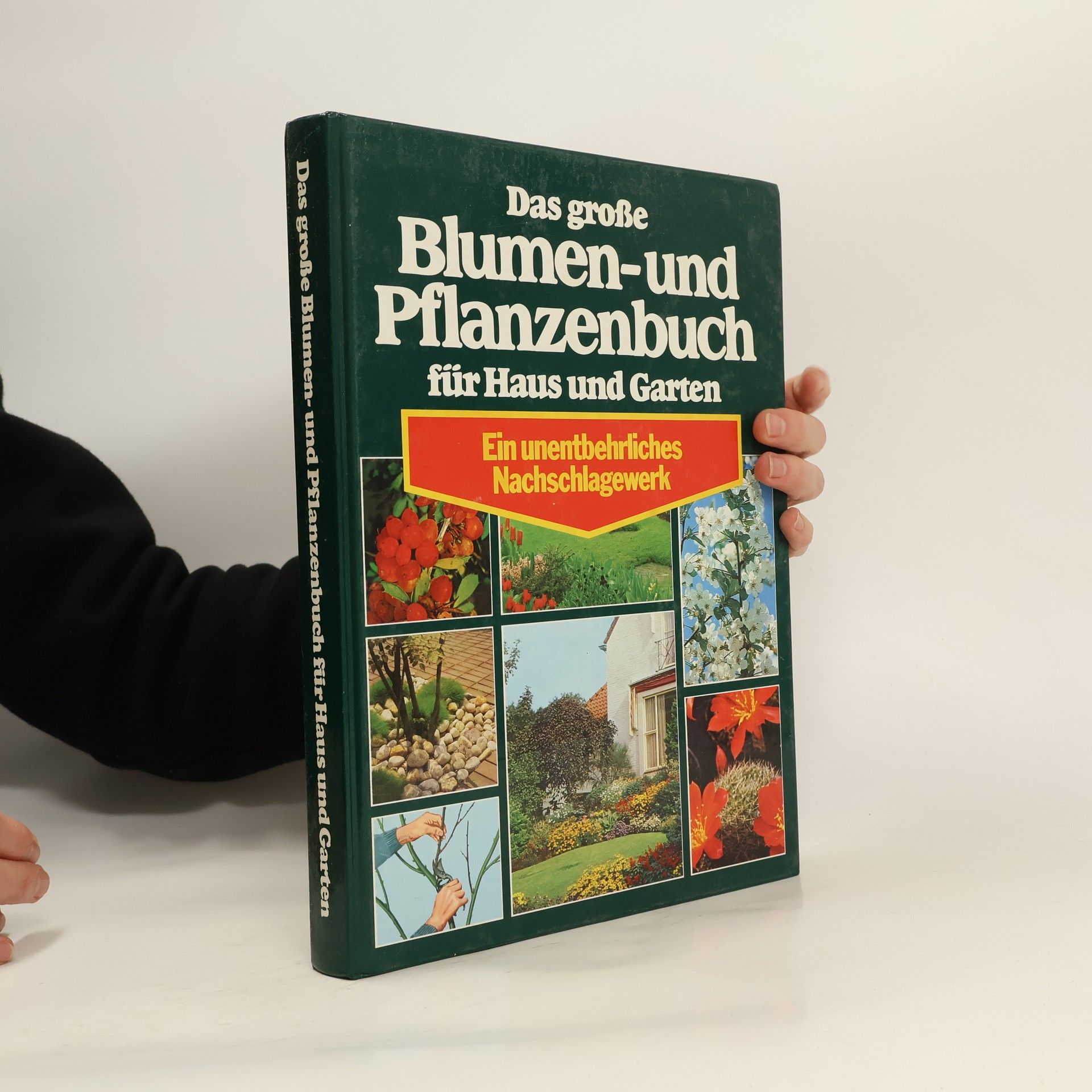 Collectif d'auteurs Das große Blumen- und Pflanzenbuch für Haus und Garten